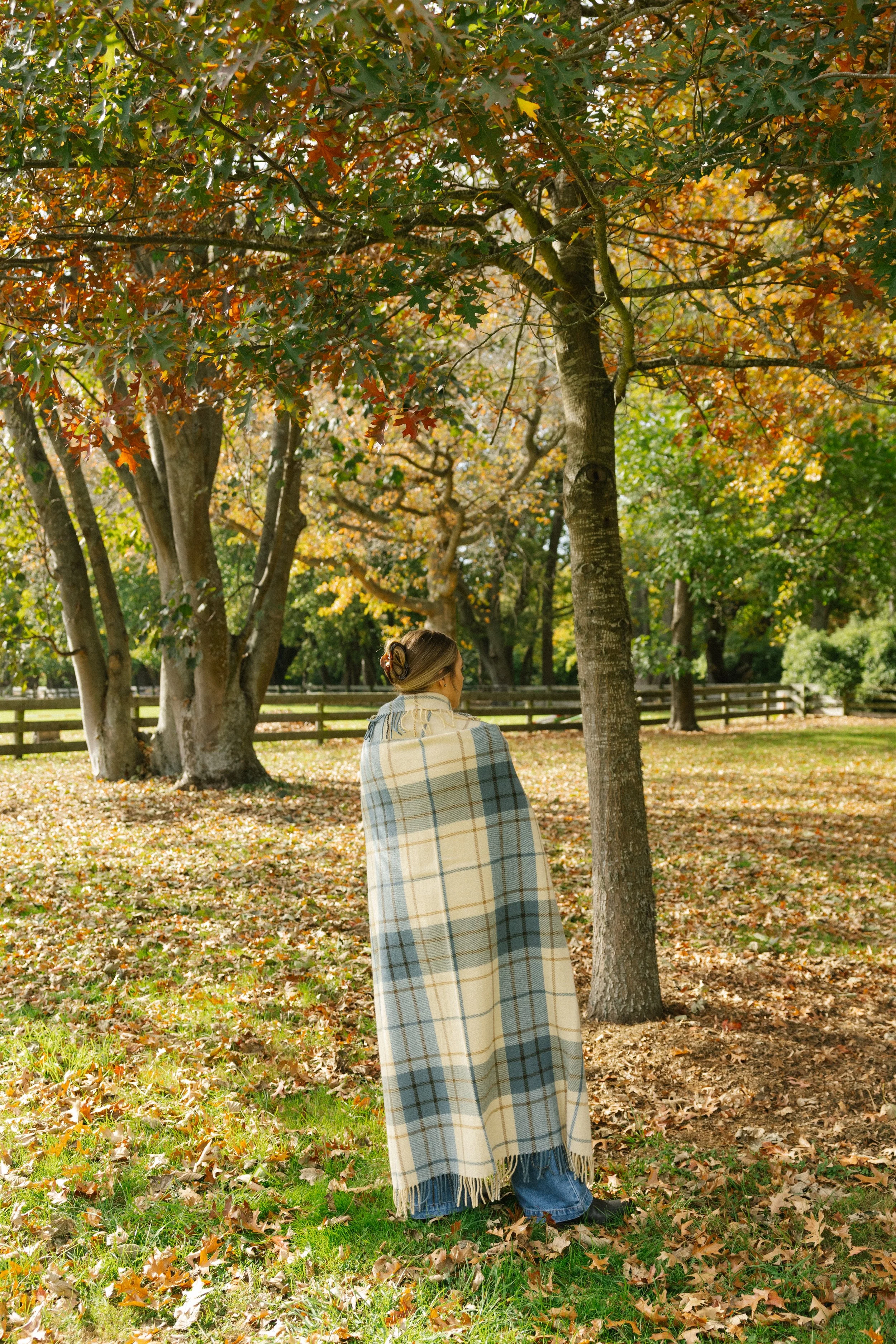 Rātā Creek Otago tartan under trees showing full design.jpg