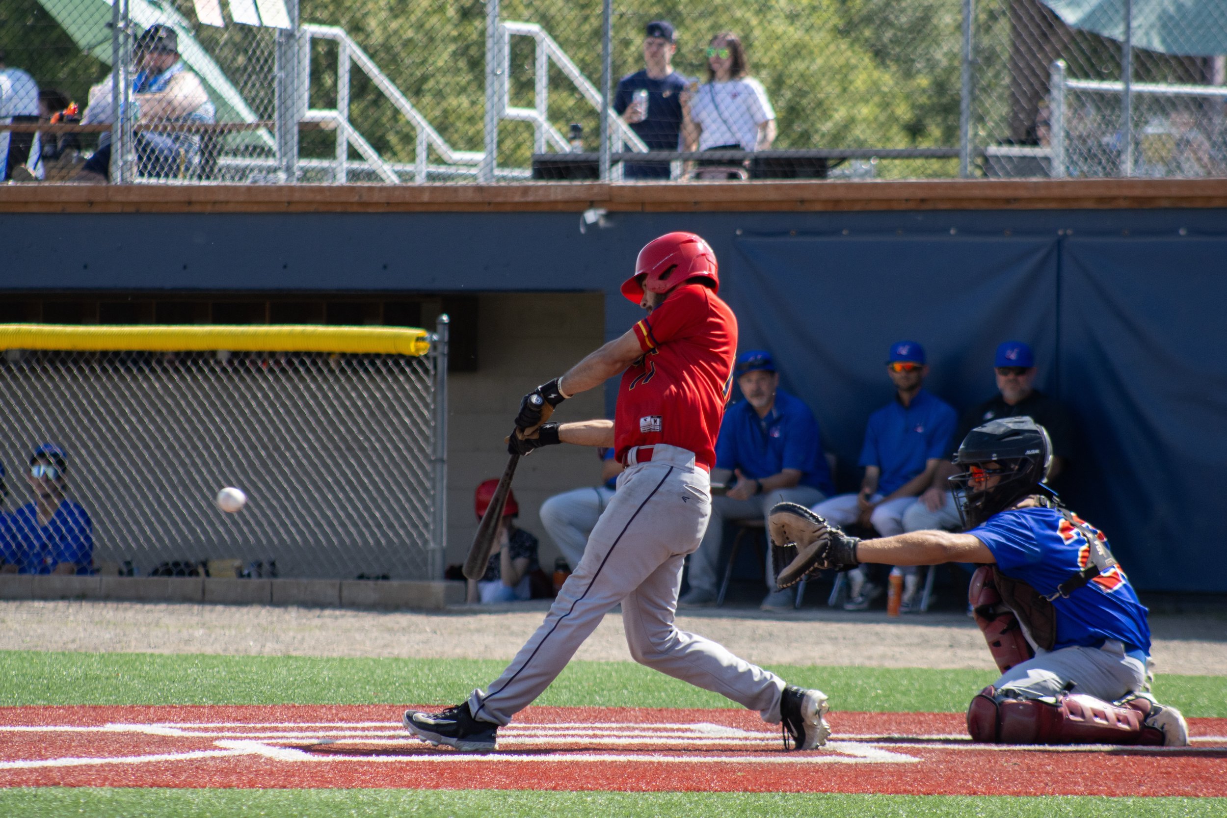 6.15.25.Panners-59.jpeg