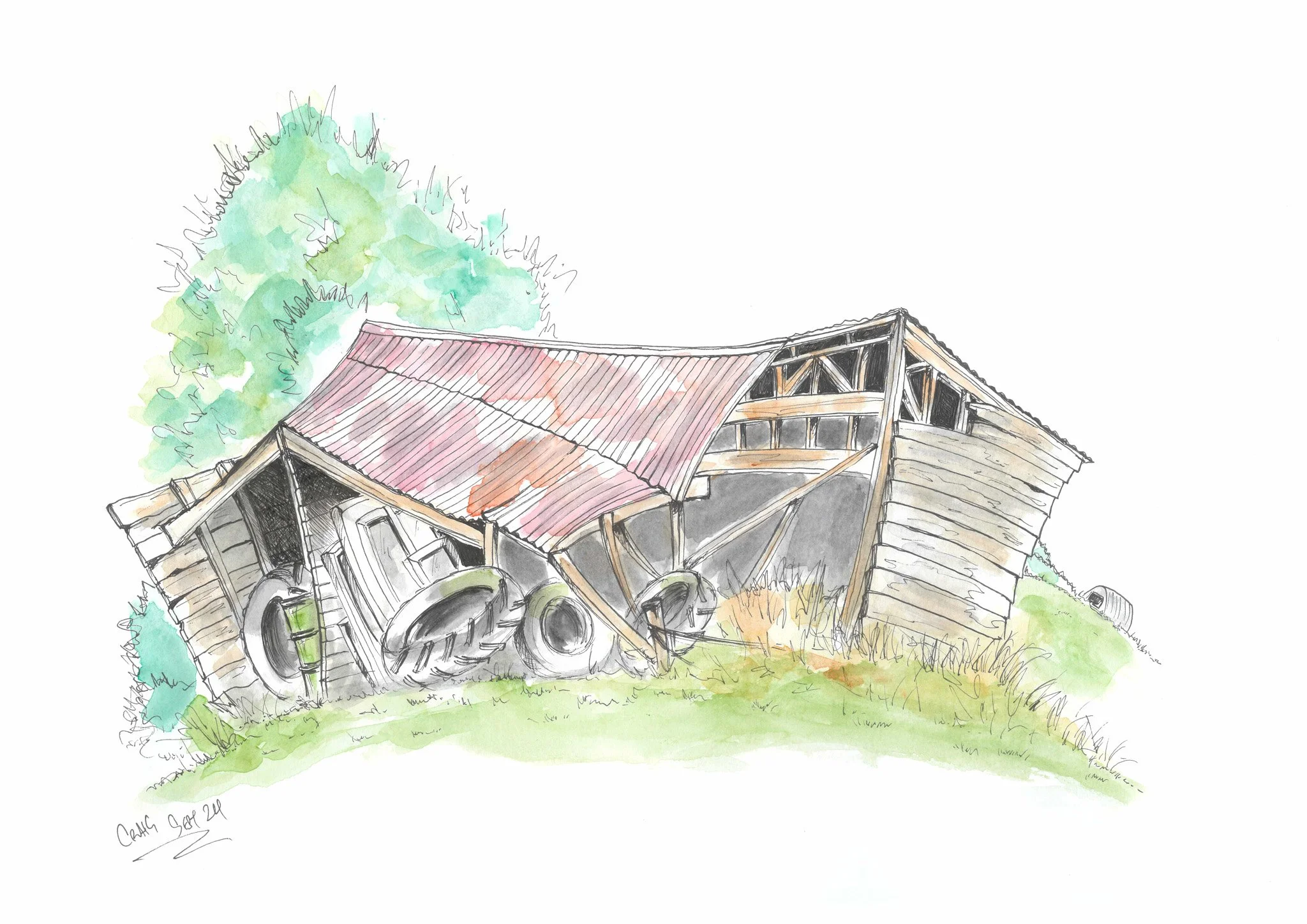 Watercolor drawing of an dilapidated barn with a rusty metal roof and old tires leaning against it, surrounded by grass and trees.