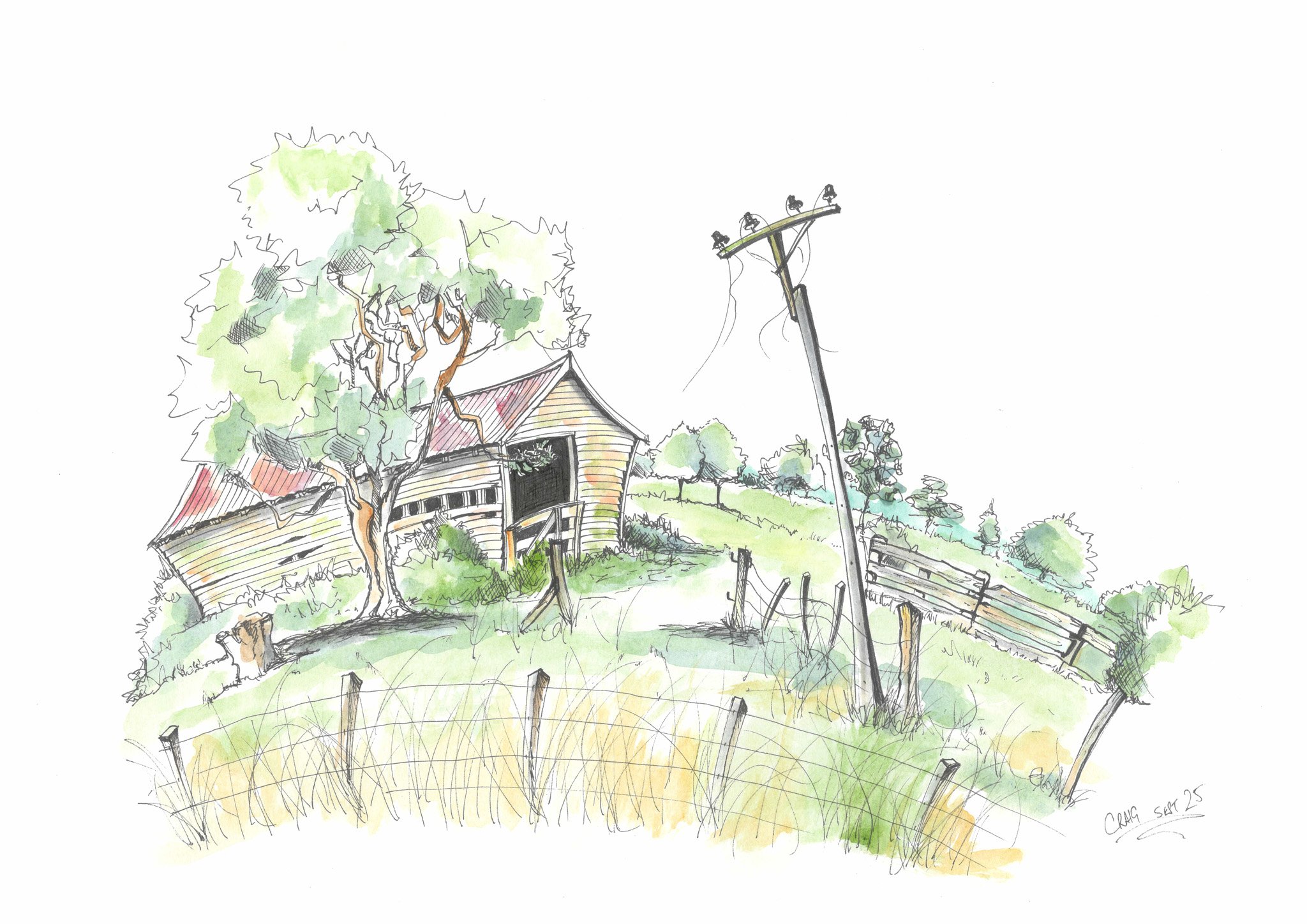 A colorful sketch of a rural scene featuring a leaning telephone pole, a tree, an old building with a red roof, a fence, and rolling green hills with bushes and small trees.