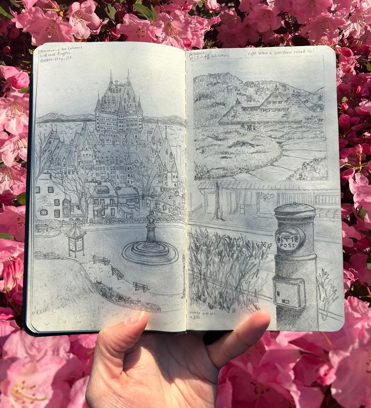 One of my favourite ways to commemorate a fun trip or special memory is through messy sketching 🌷 no plans, no thoughts, just pencil on paper

Here is one of those pages from my special adventure book, documenting Quebec, Canada + Shiga, Japan (2025