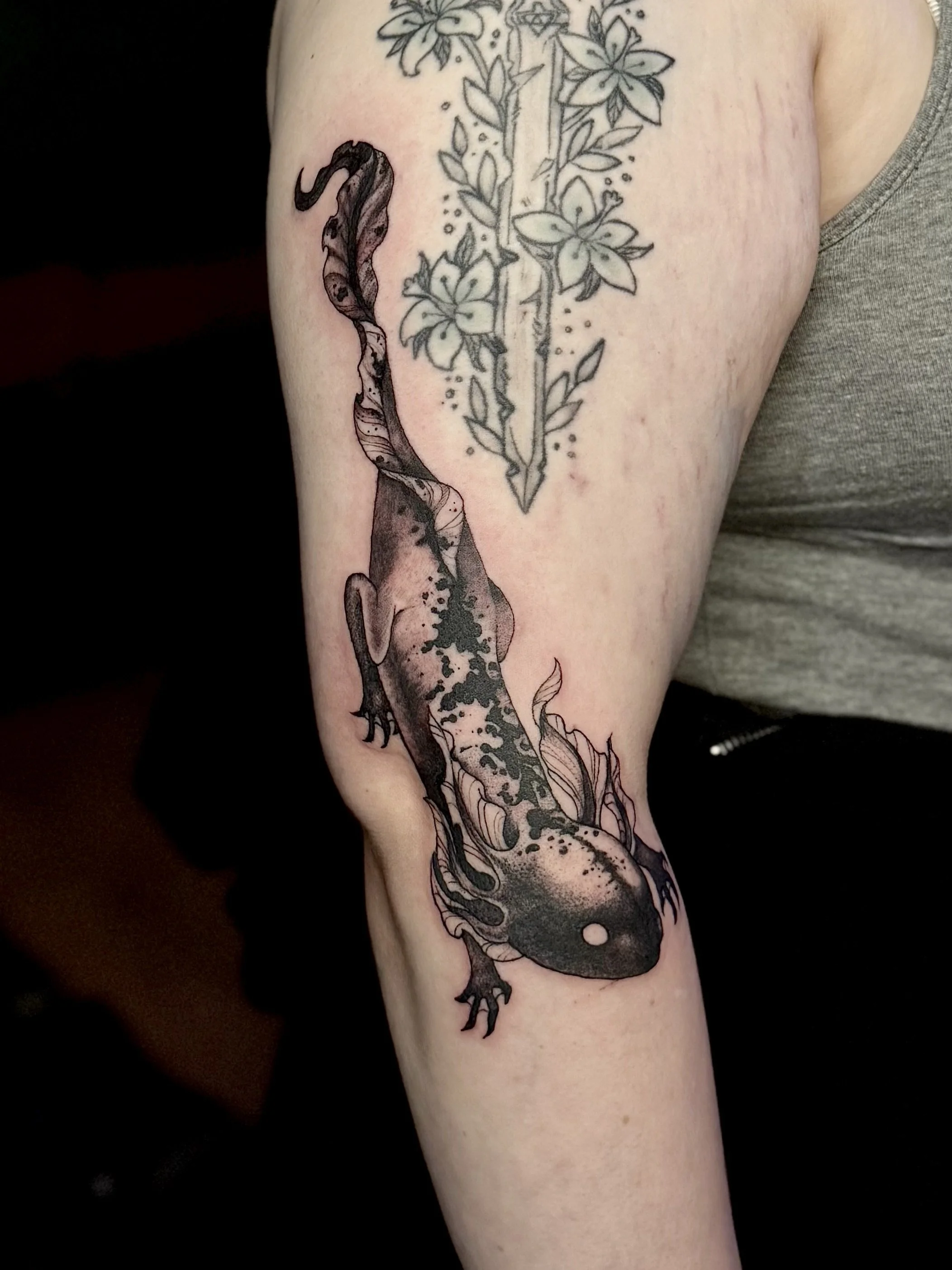 Black ink salamander tattoo with detailed shading on a person's upper arm.