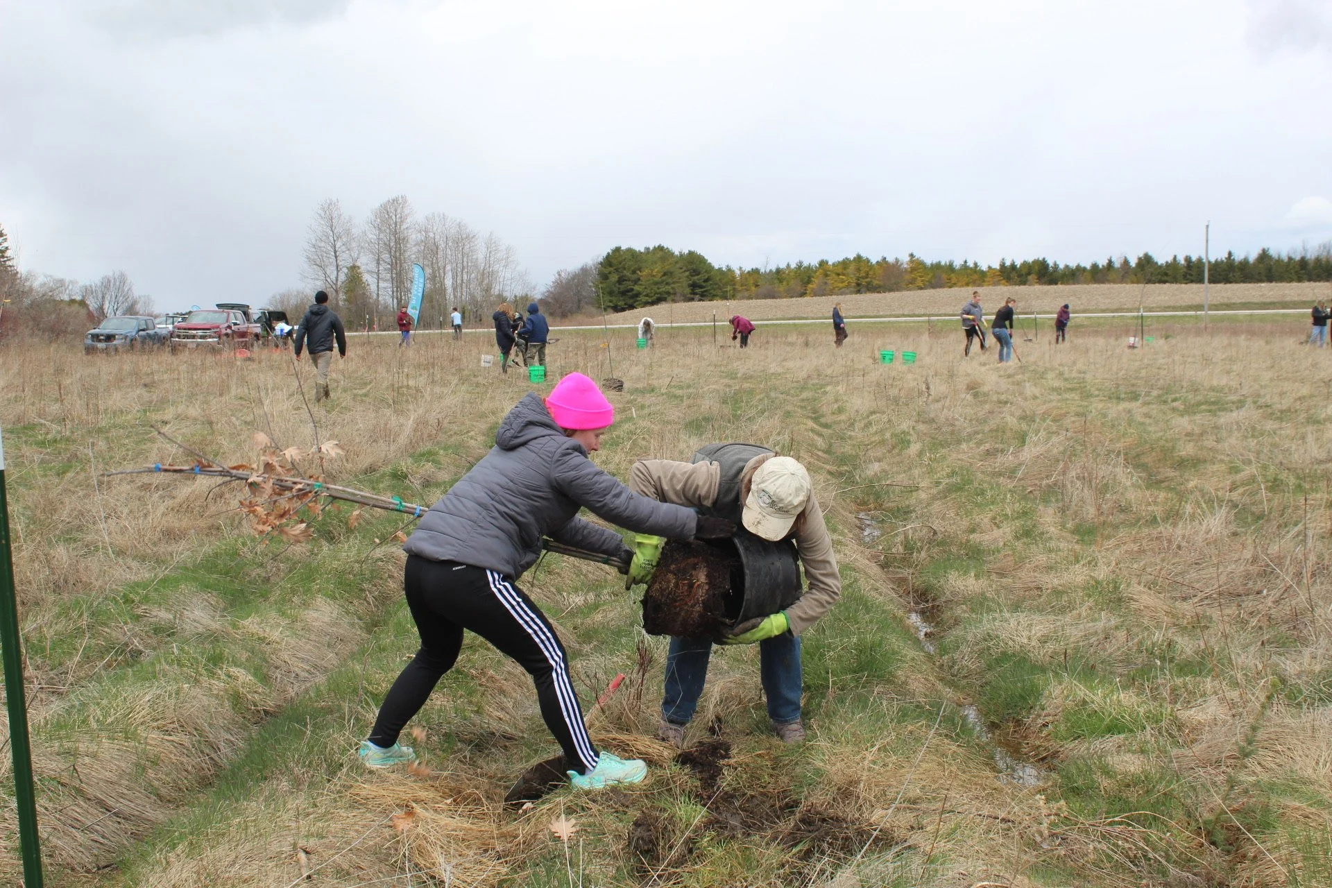 Community Tree Planting in Egg Harbor 