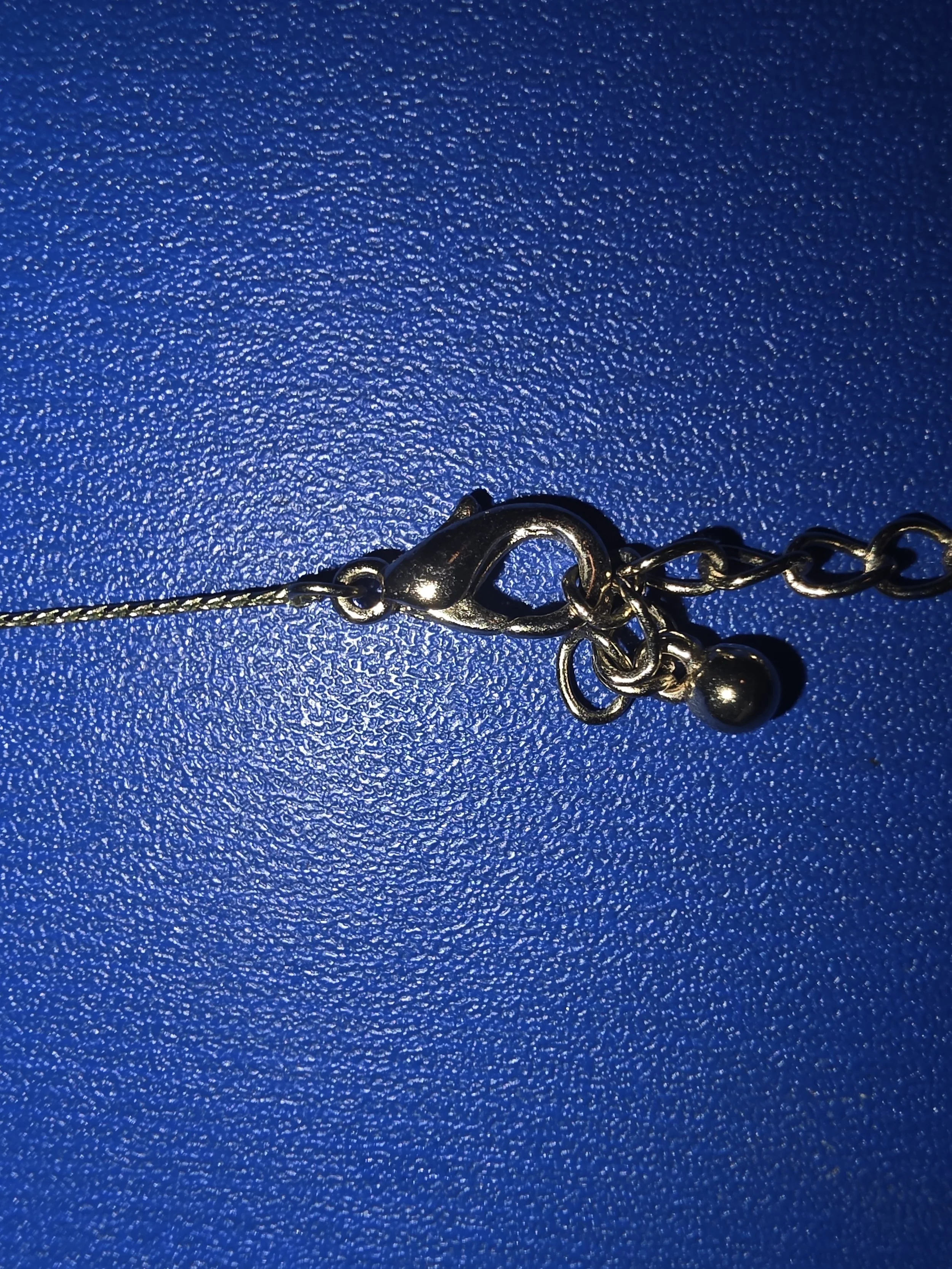 20260910_152133.jpg