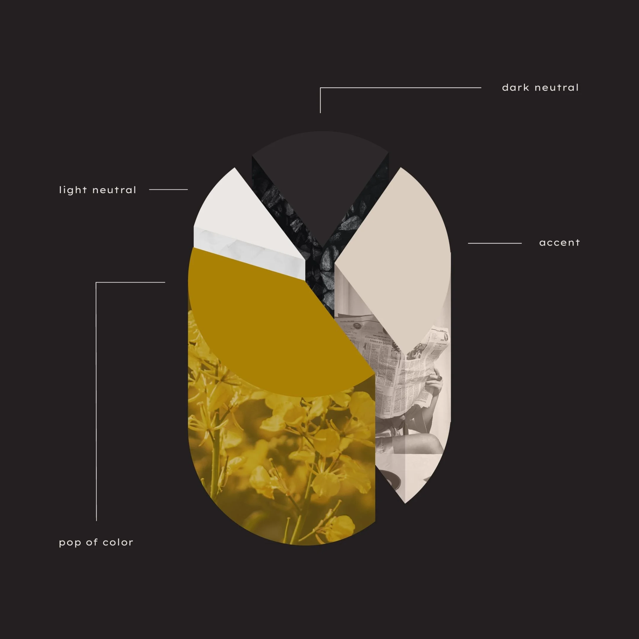 Color Palette Basics.jpg
