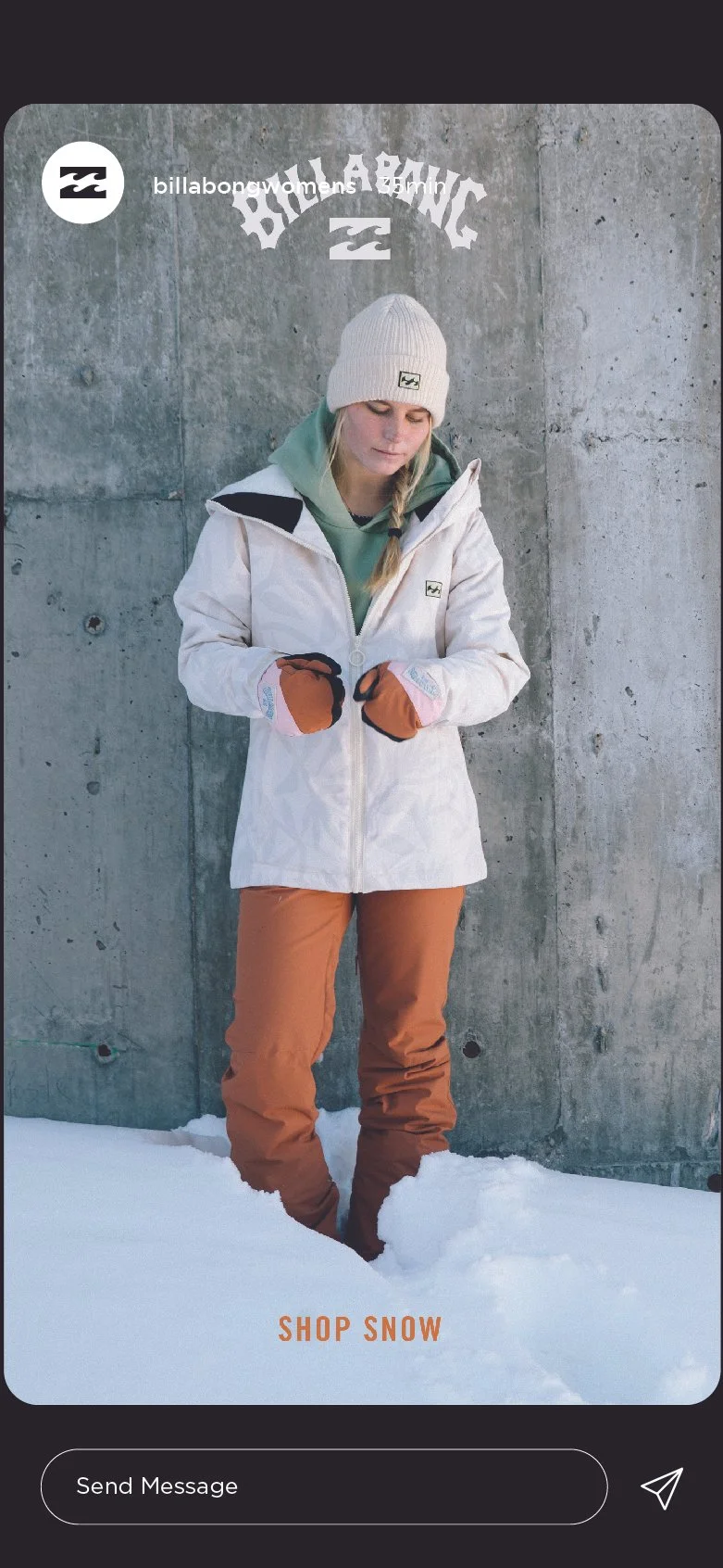 BBG_Snow2_Stories-06.jpg