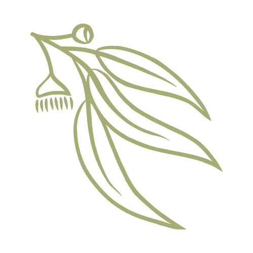 Stylized illustration of three gum leaves, gum nut and another gum nut in bloom.