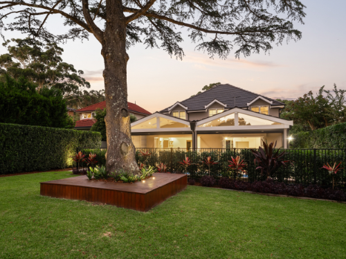 cook-road-killara-backyard.png