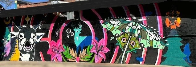 Mural in Southern Illinois nonprofit community arts mural project, independent artists, Carbondale, IL, by Antonio Martinez