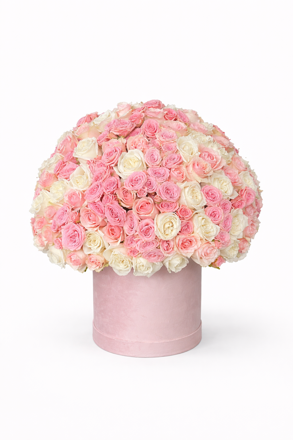 Luxury Box of 300 Roses