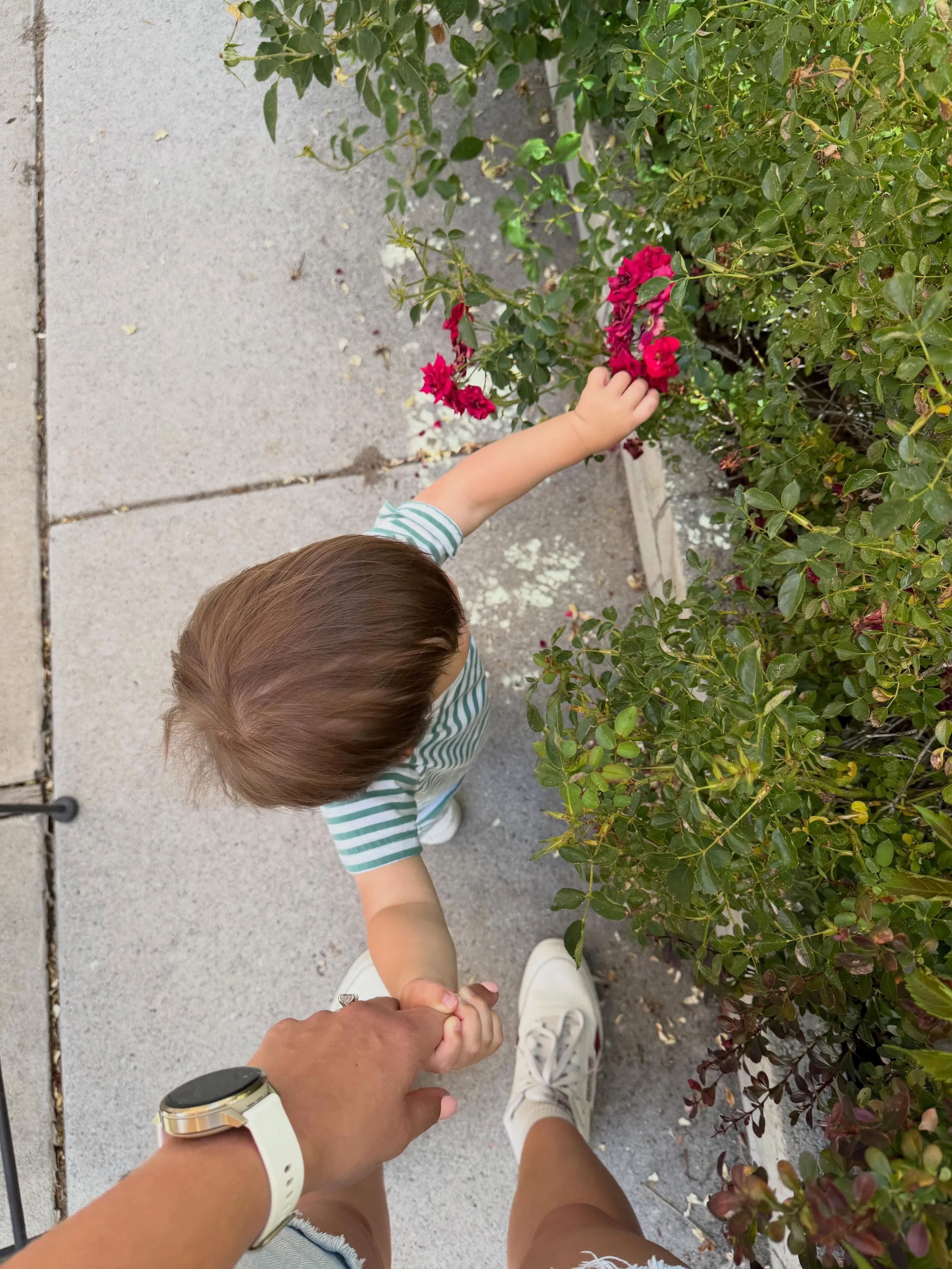 Sleep regressions are real! If your once-great sleeper is suddenly waking every hour, fighting naps, or refusing bedtime, you&rsquo;re probably in a regression! 

Regressions happen because of developmental leaps: the brain is having growth spurt whe