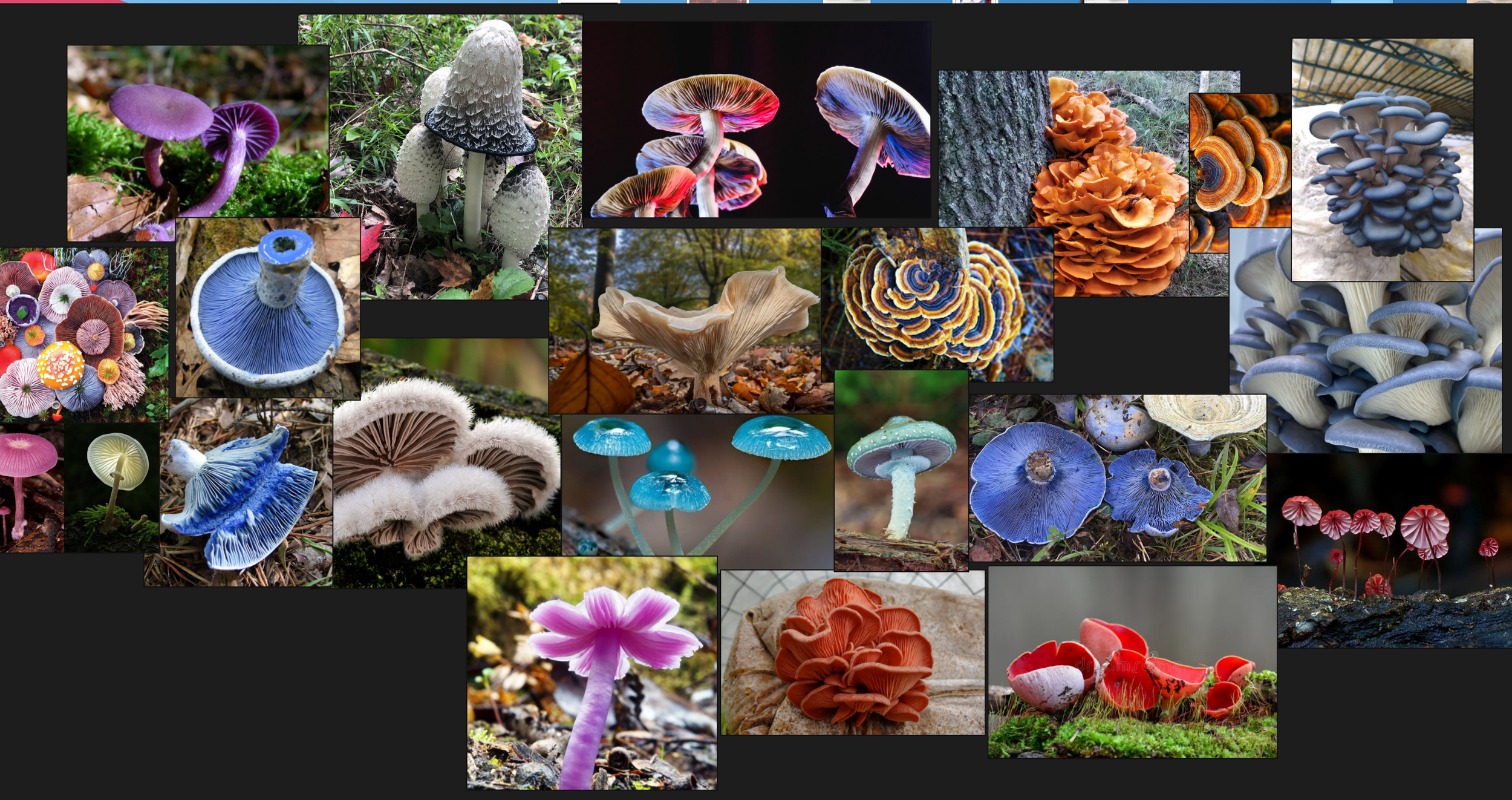Ultimately, what helped hone in our Smurfette, was researching organic shapes in a smurfs world. I tried to think of organic materials a Smurf would use and would try to blend in to avoid being seen by our villain. Smurfette’s dress has inspiration o