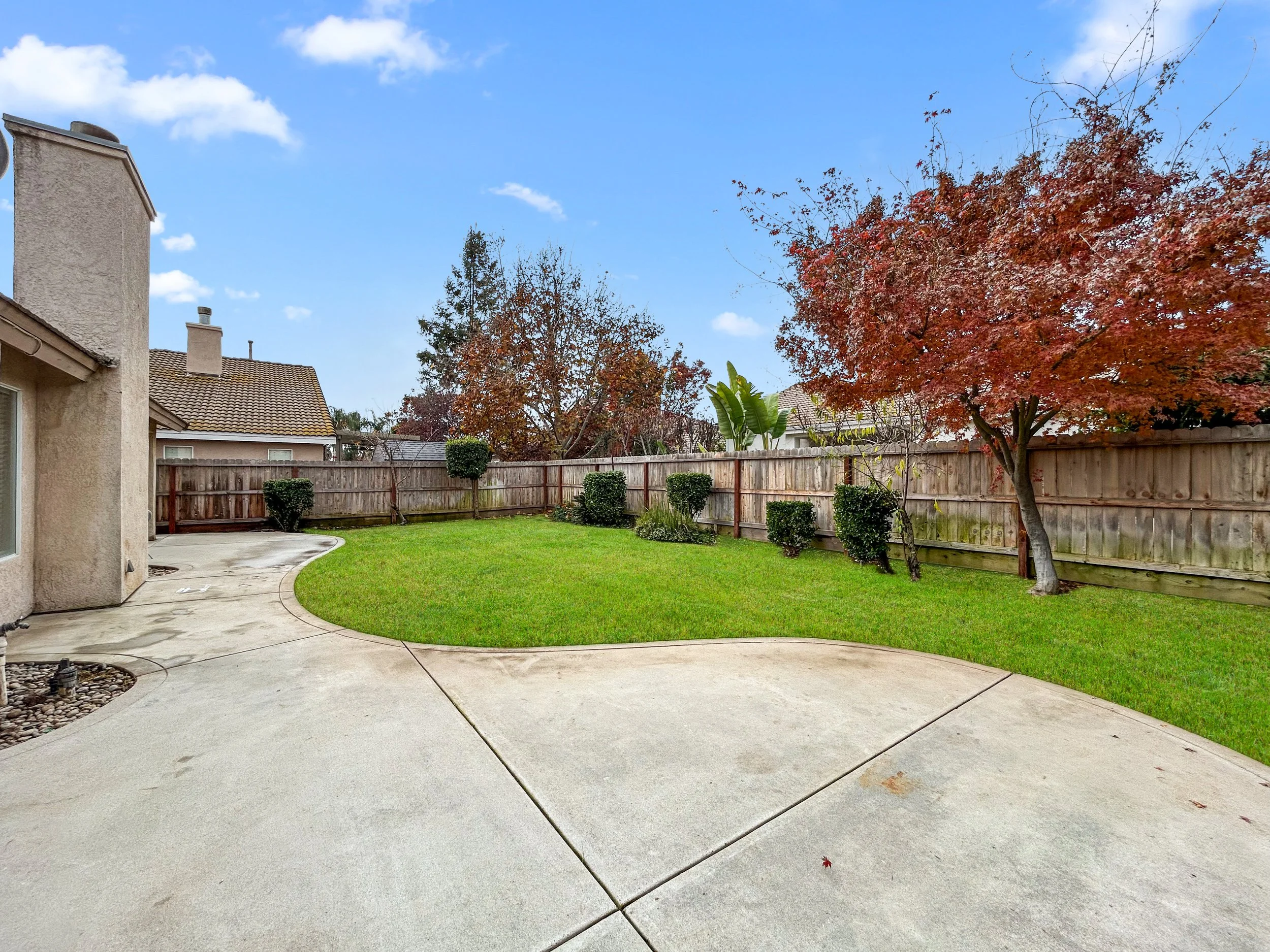 Backyard with green lawn, concrete patio, wooden fence, and trees with red and green leaves under a blue sky.