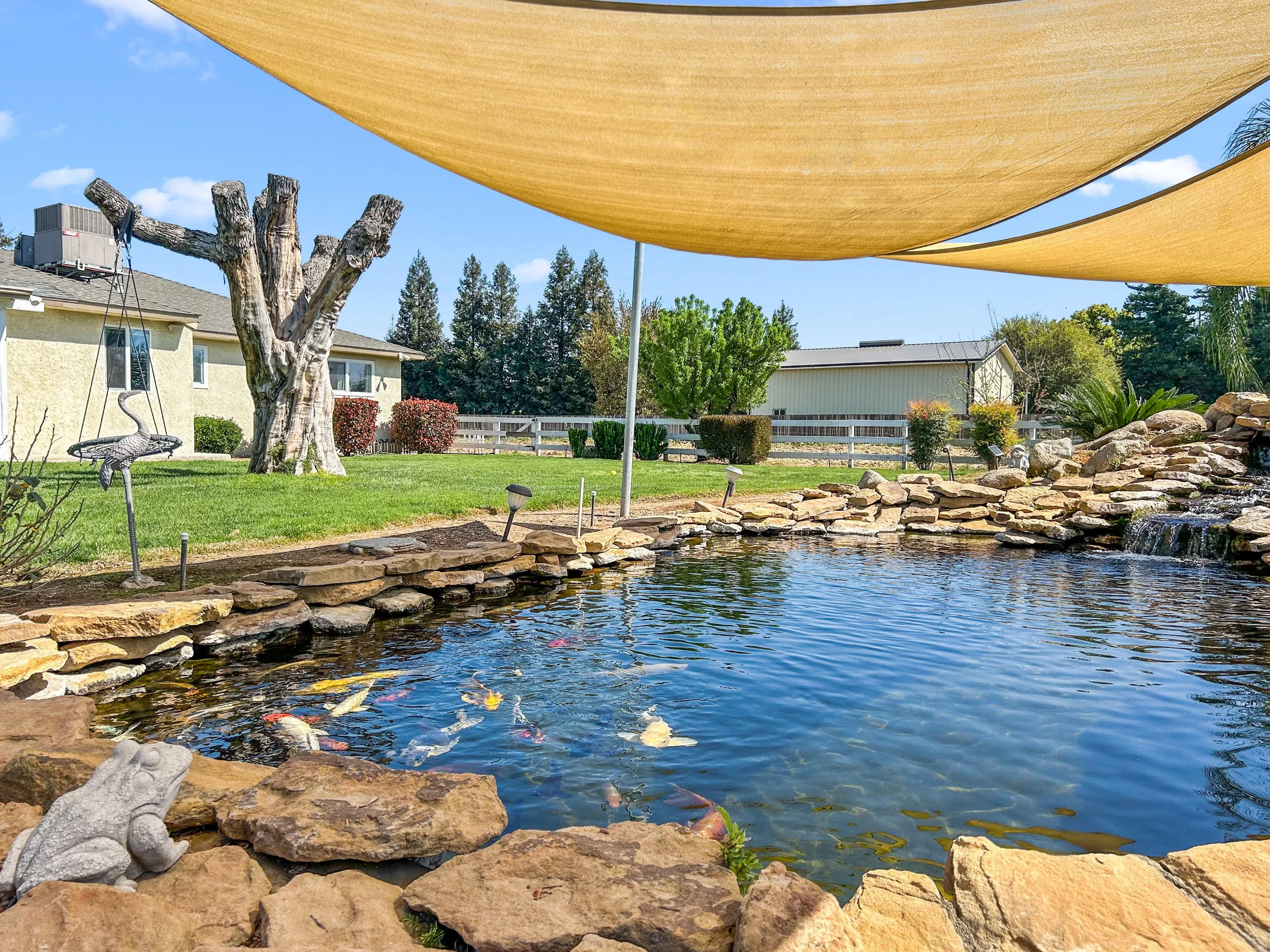 A backyard pond surrounded by rocks, with koi fish swimming inside. The yard features a grassy area, a large leafless tree, and bushes. There is a yellow shade cloth overhead, providing cover. Two small landscape lights are near the pond, and a water