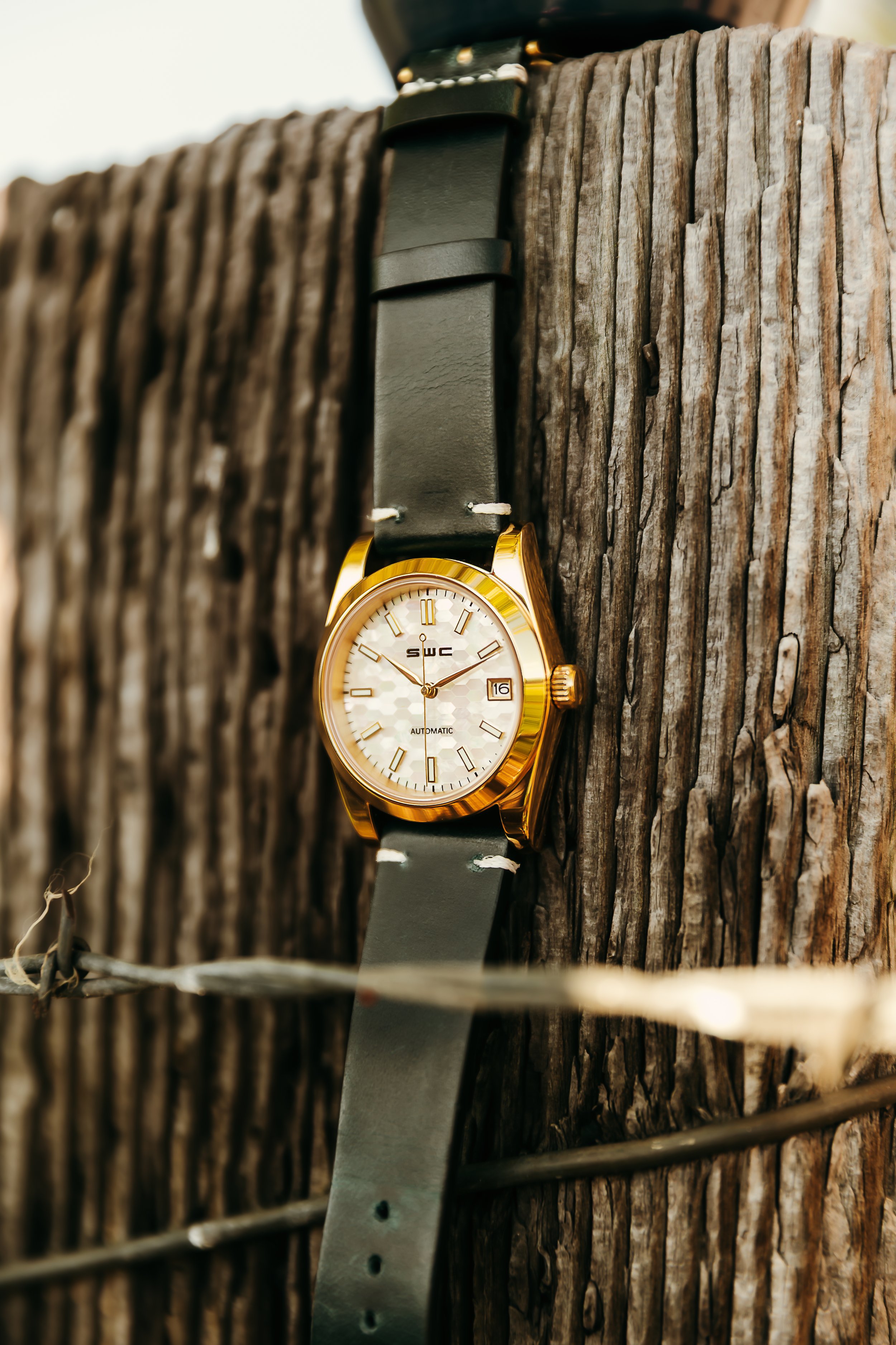 Timelessrosephoto-44.jpeg