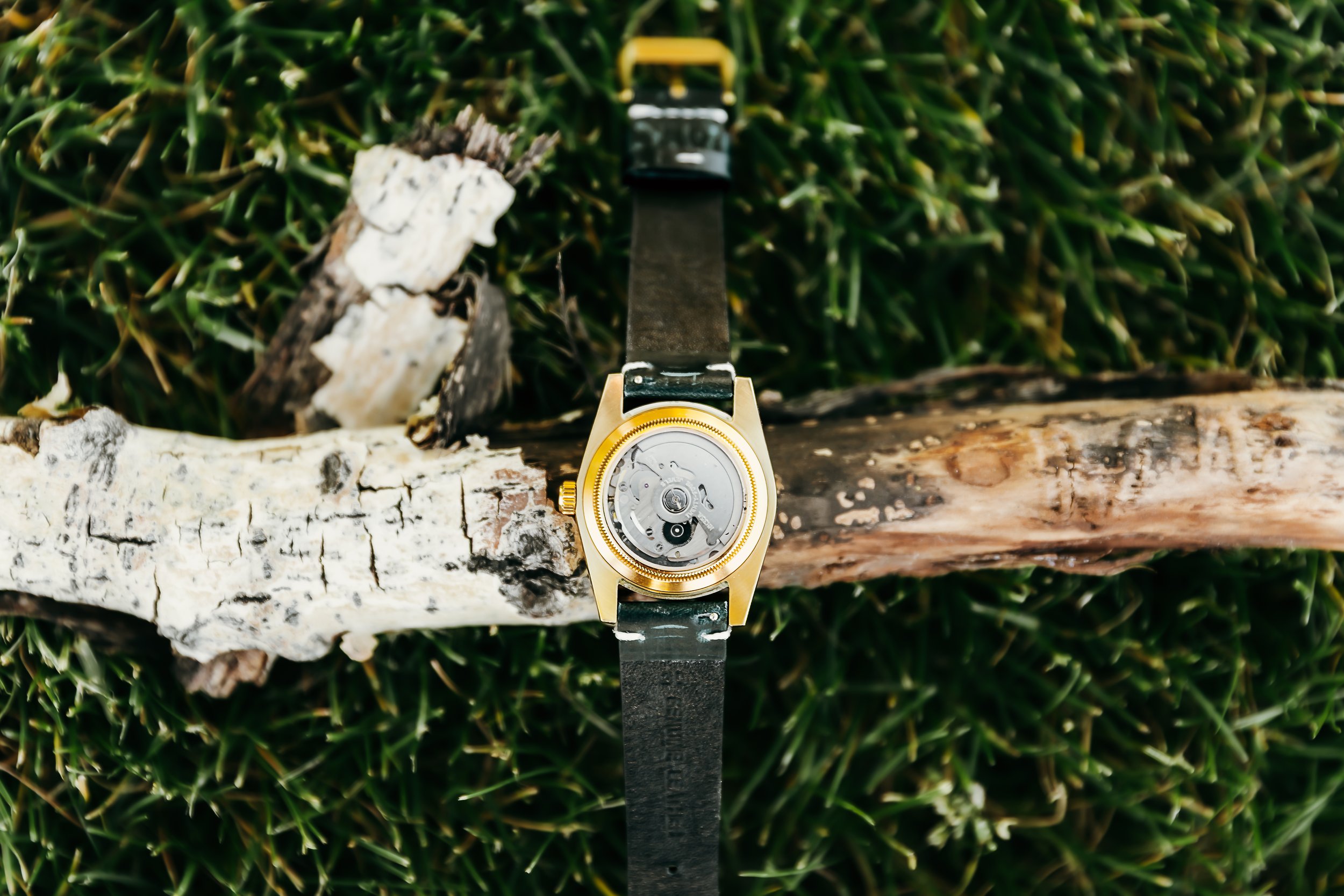 Timelessrosephoto-47.jpeg