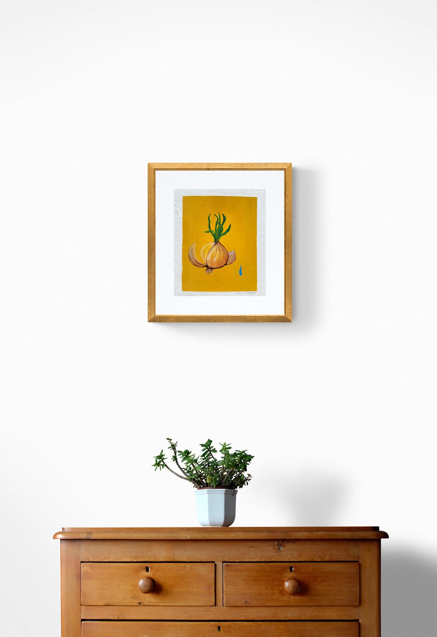 plant-on-wooden-drawers-5.jpg
