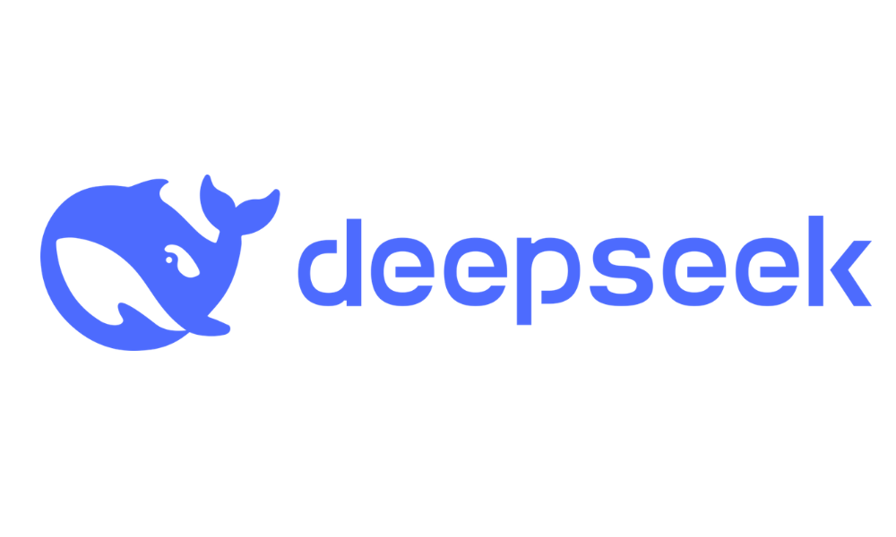 DeepSeaK logo with a stylized blue whale face next to the company name in blue text.