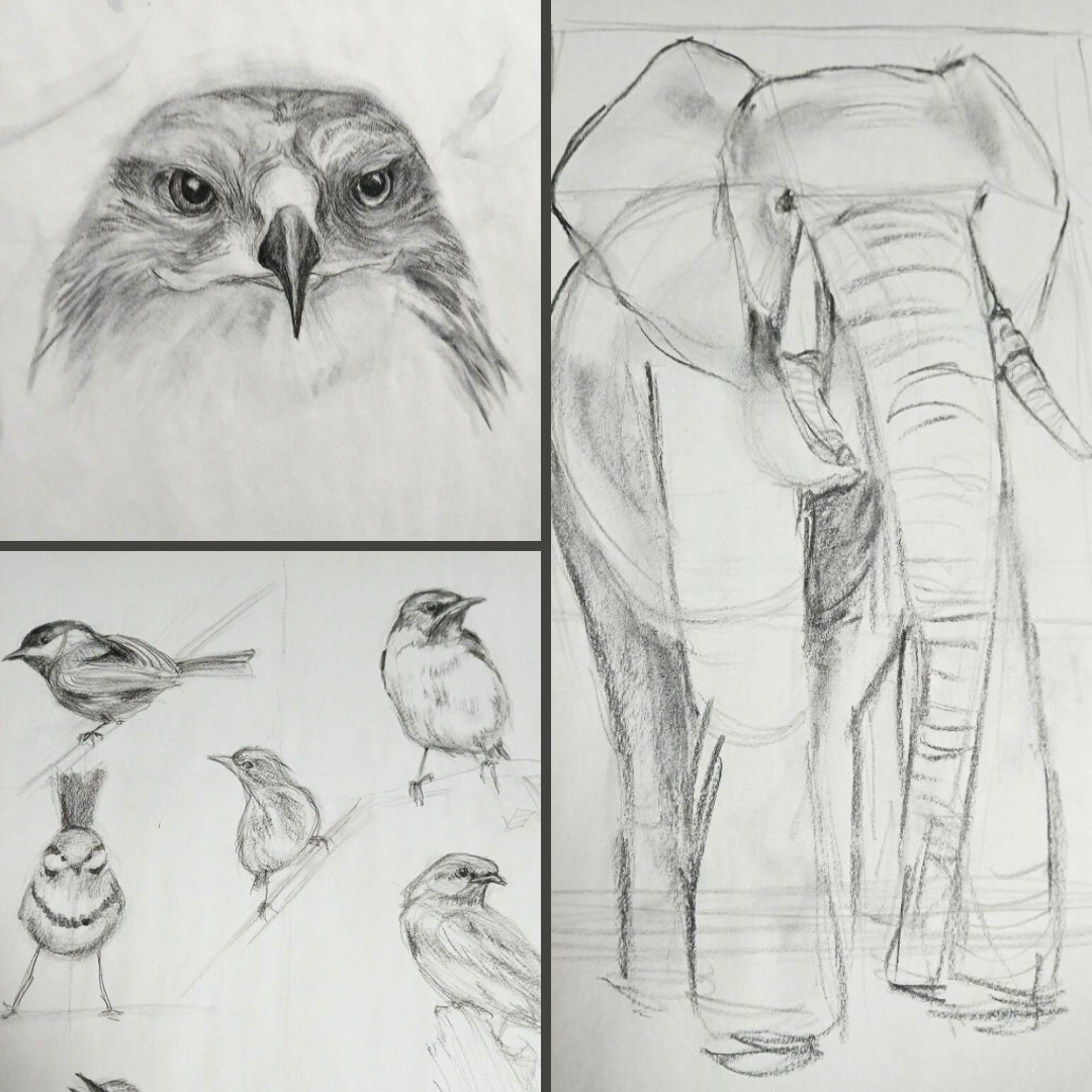 Dynamic Drawing (Recurring Class) 