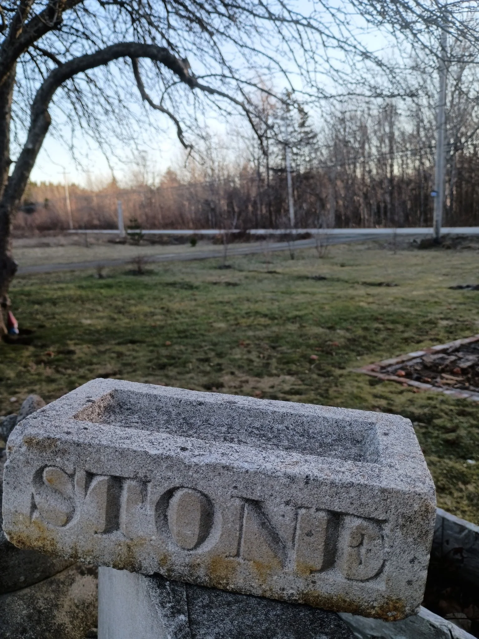 A weathered stone birdbath with the word 'STONE' engraved on its side, situated outdoors in a yard with grass, trees, and a street in the background.