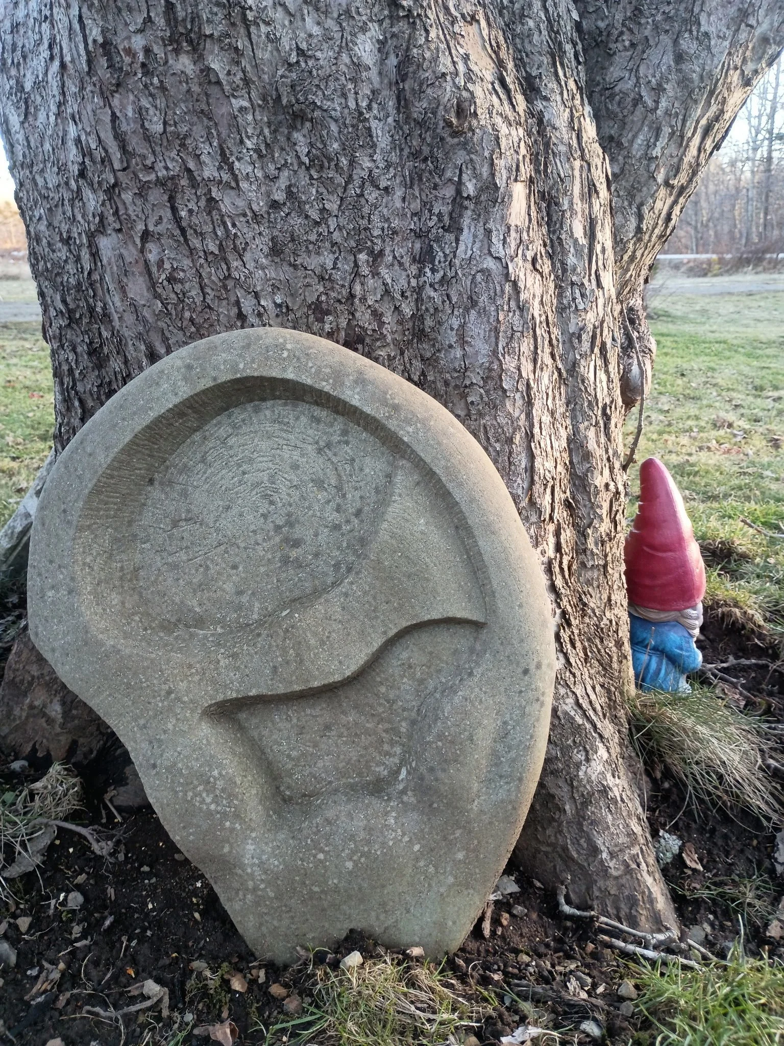 A stone sculpture resembling an ear with a minimalist design, placed at the base of a tree with a red gnome figure in the background overlooking a grassy field.