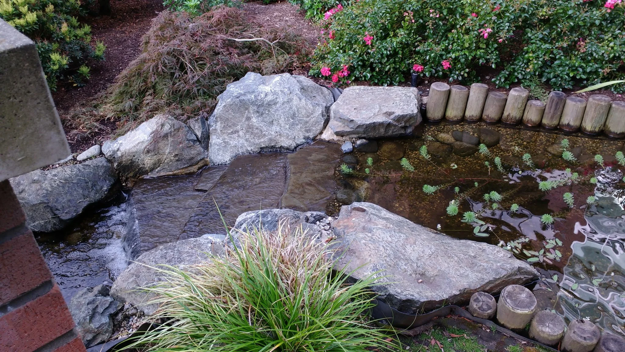 Small garden pond with large rocks and aquatic plants, surrounded by bushes and flowers.