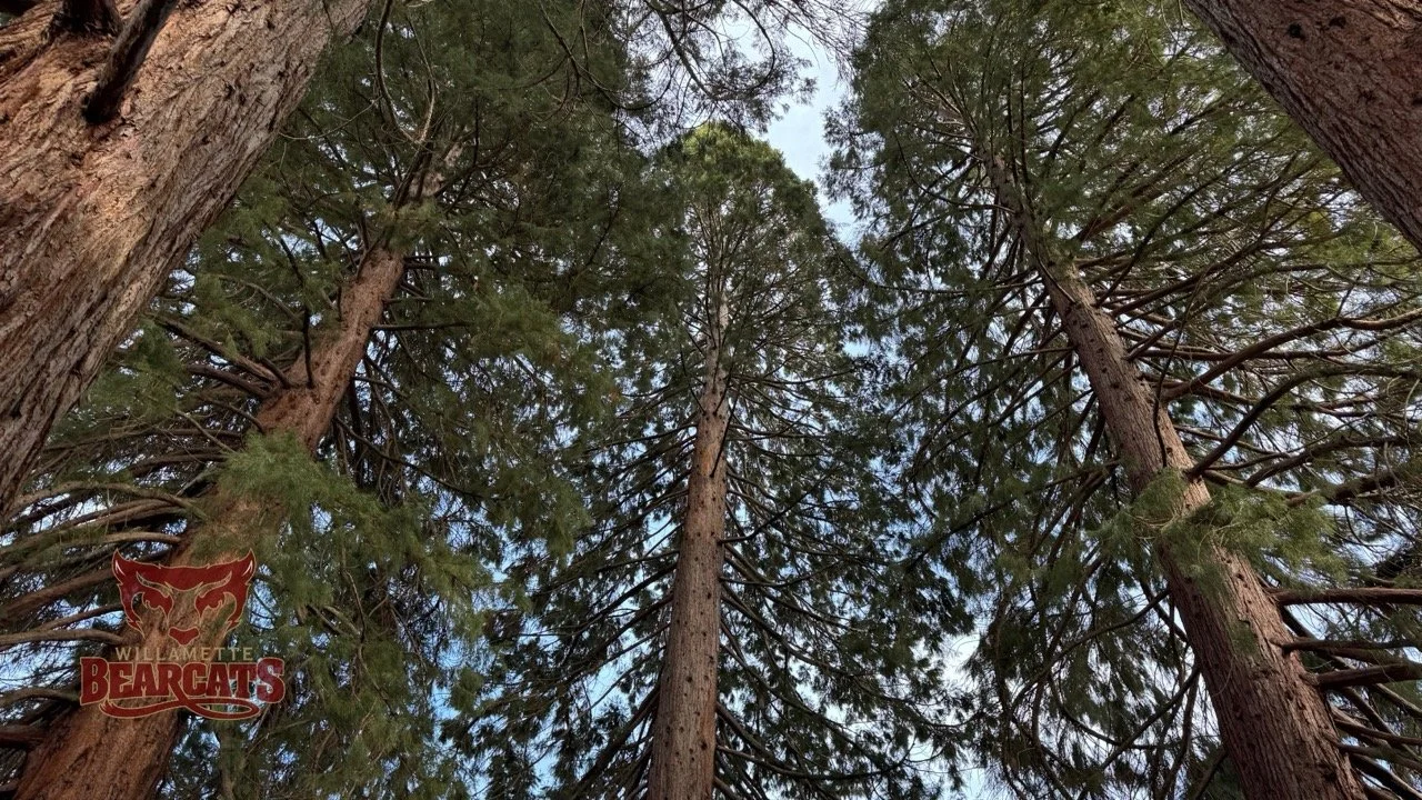 Tour Tuesday: Willamette University