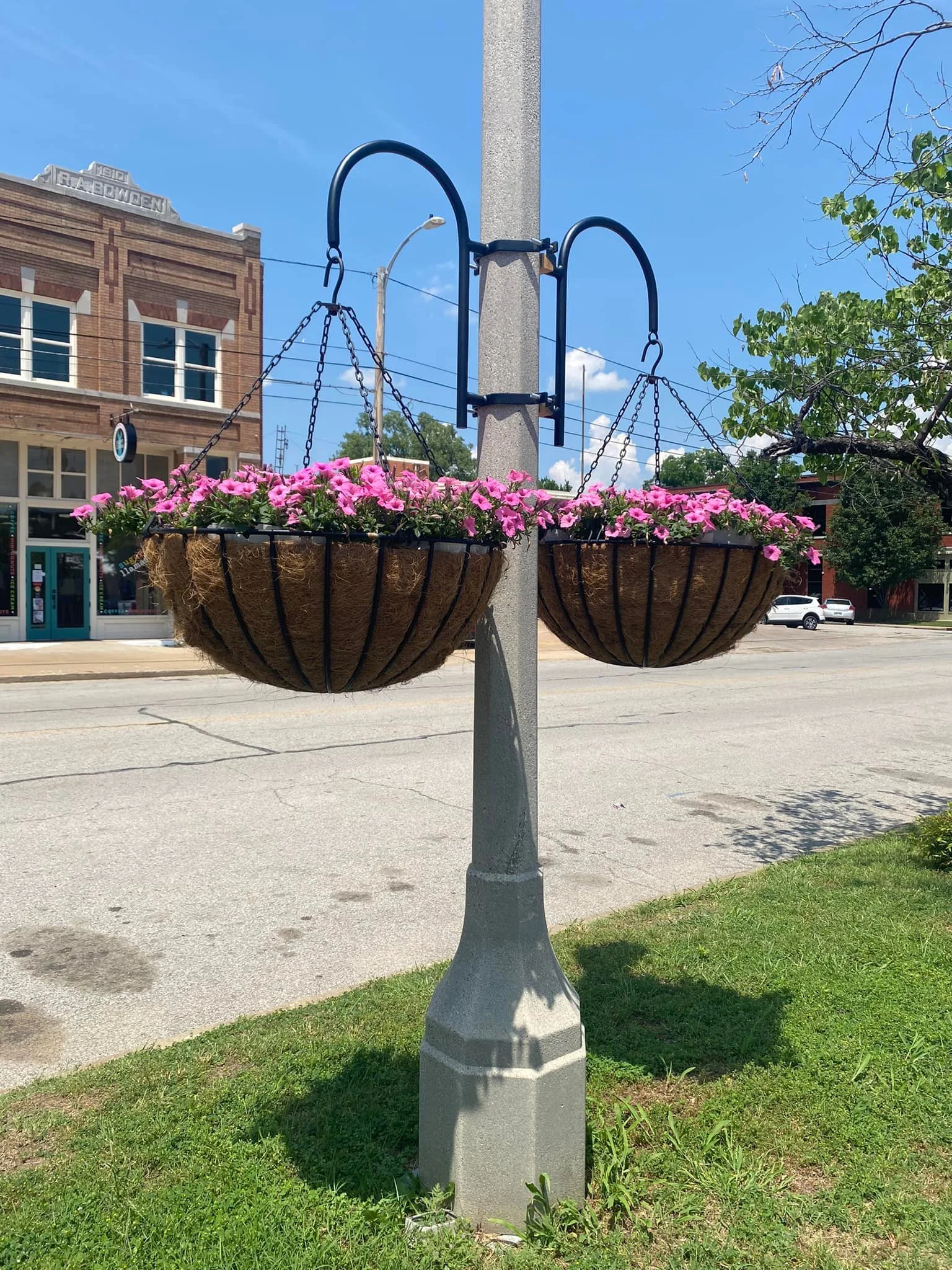 Pink flowers in hanging baskets attached to a street pole on a city sidewalk, with buildings and cars in the background on a sunny day.