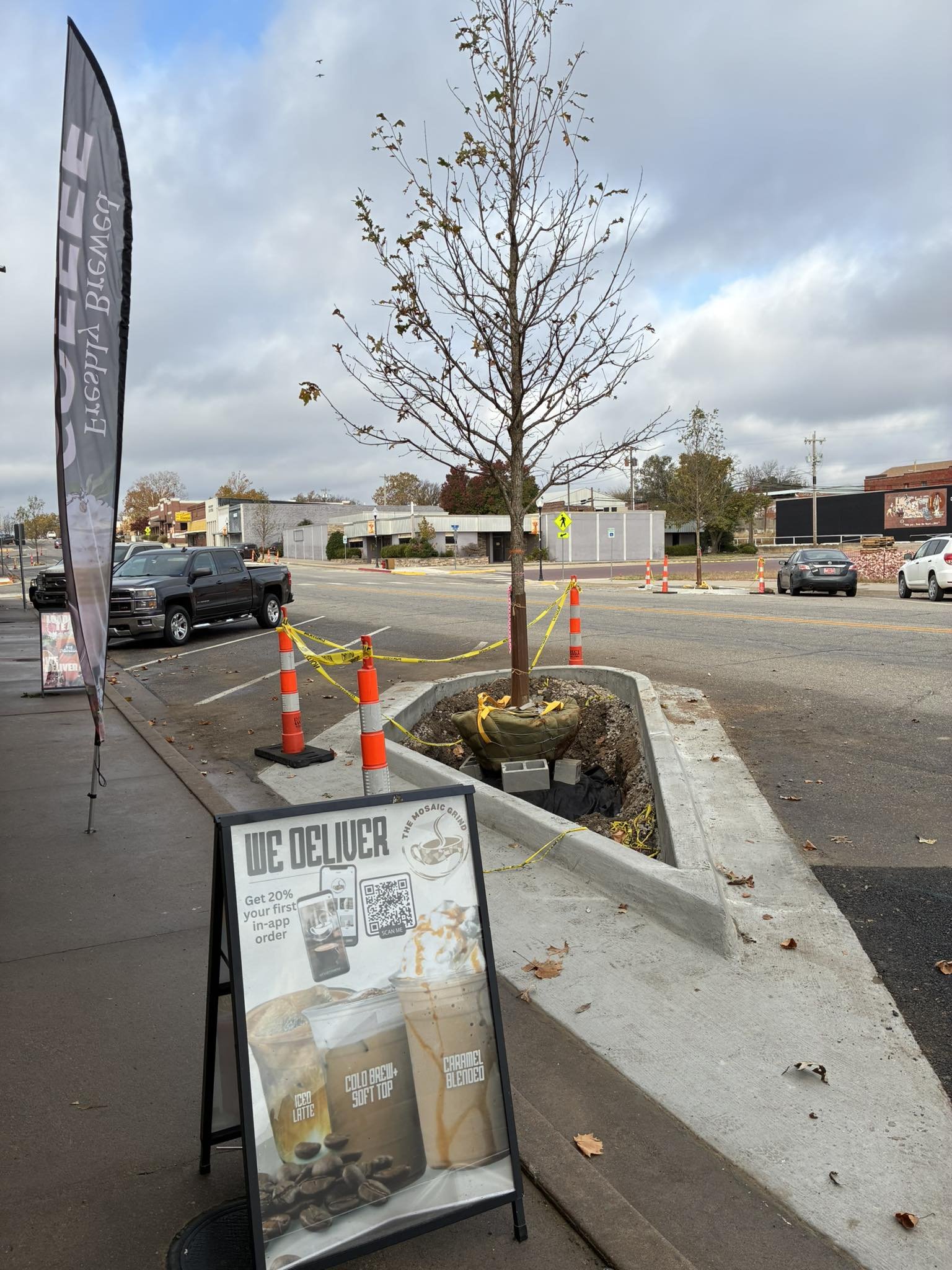 A young, leafless tree planted in a concrete curb with orange traffic cones and yellow caution tape around it, situated next to a sidewalk in a parking lot on a cloudy day.