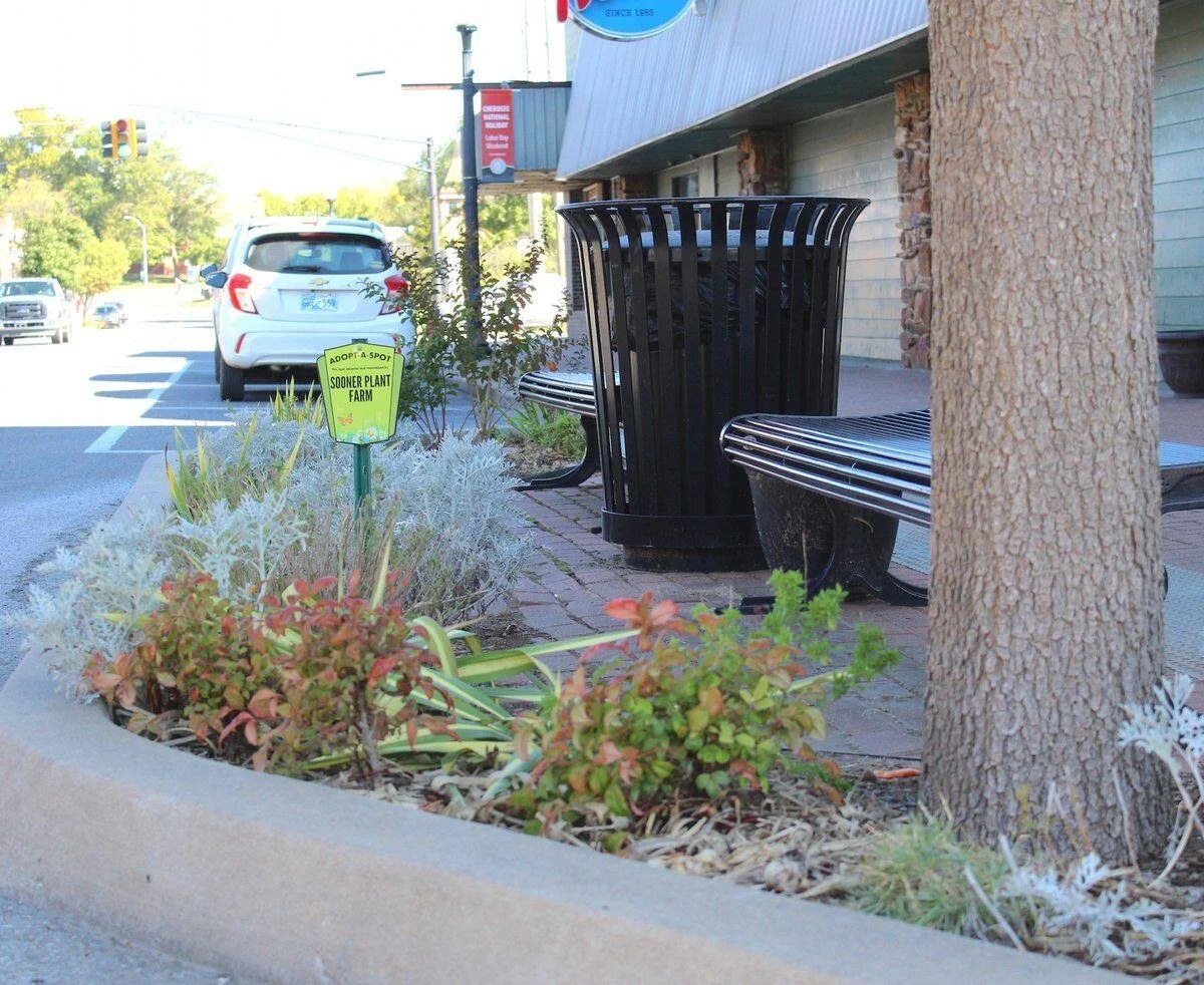 A sidewalk with plants and a tree in a concrete planter, with a bench and a black trash can nearby. There is a parking lot with cars and a street with cars in the background. There is a bright yellow sign that says 'Adopt-A-Spot, Sooner Plant Farm.'