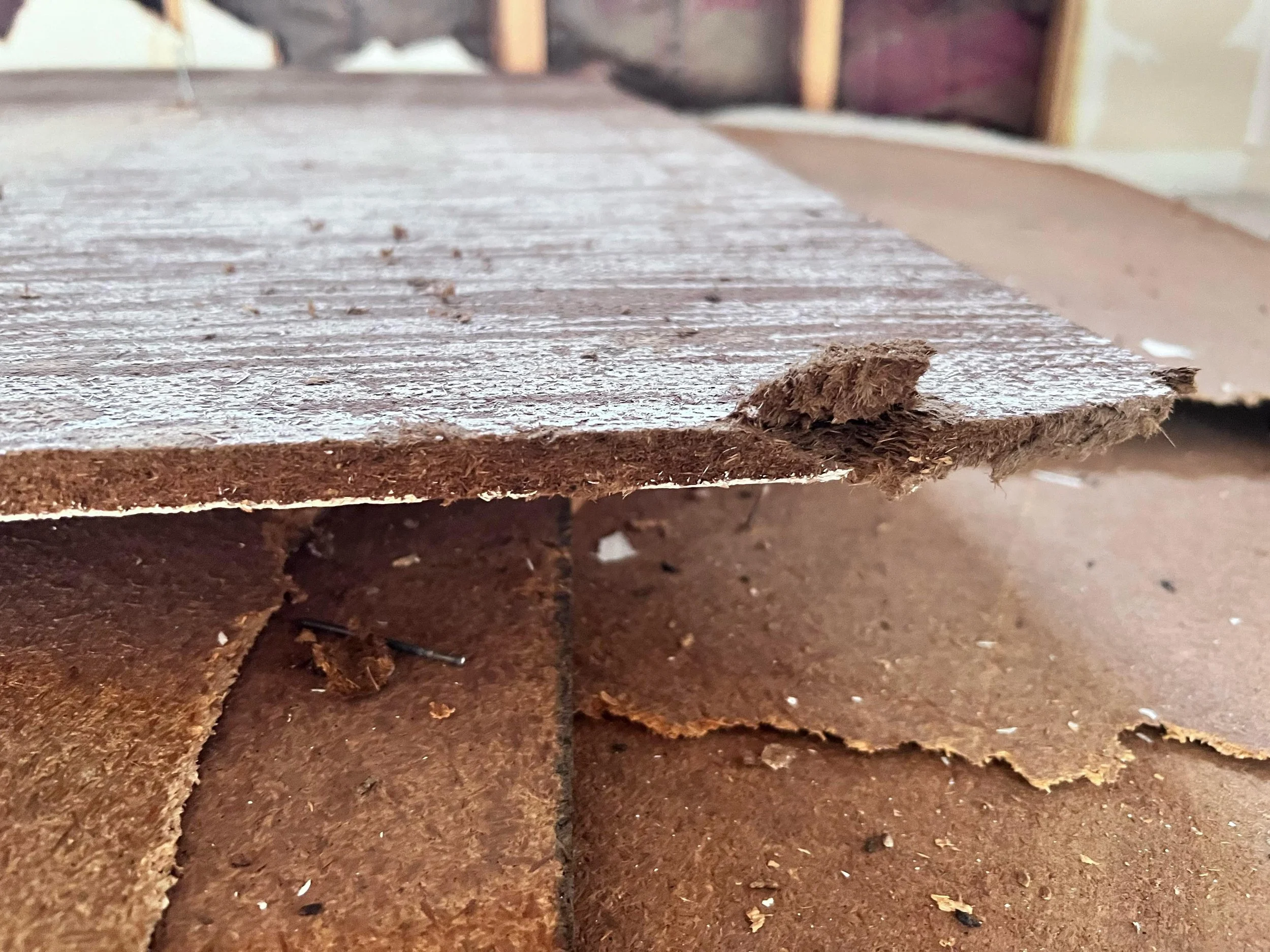 From the Sugar Mill: Canec Ceilings