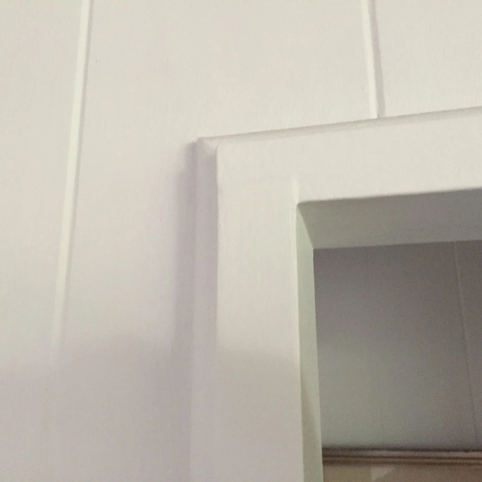 PHOTO-2026-02-21-17-06-34 (1).jpg