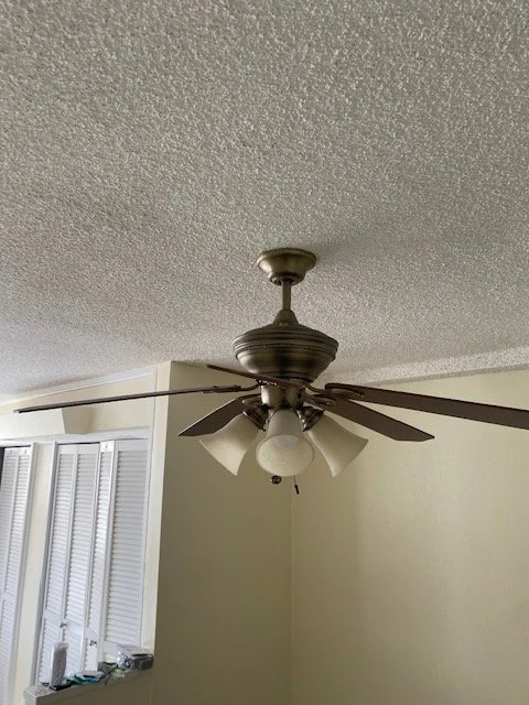 Replaced ceiling fan