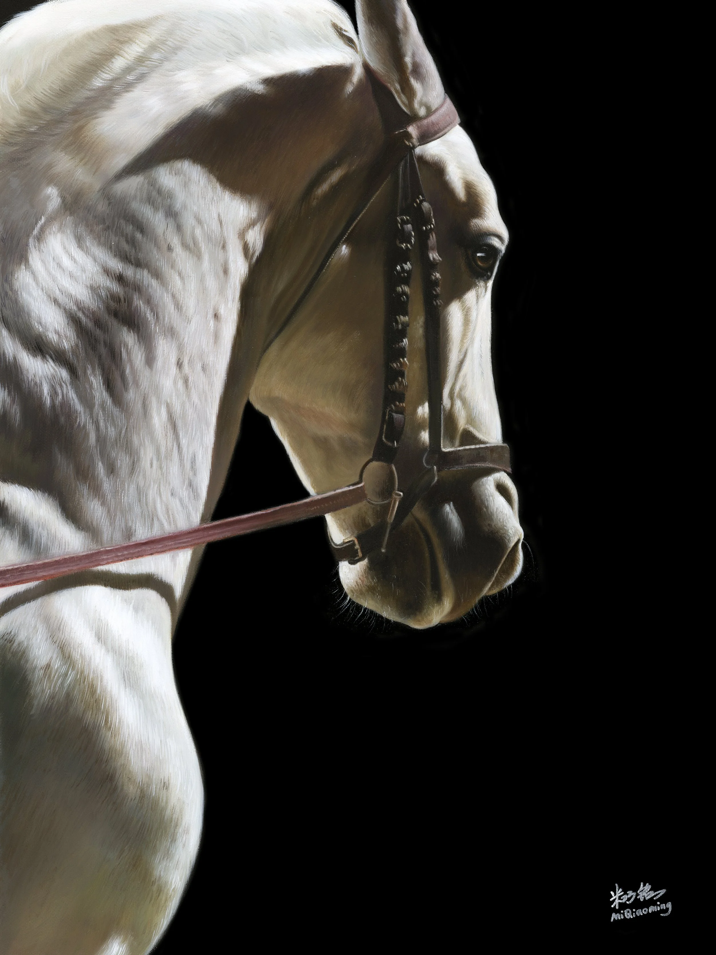 马系列：蛟龙  50x37cm 布面版画.jpg