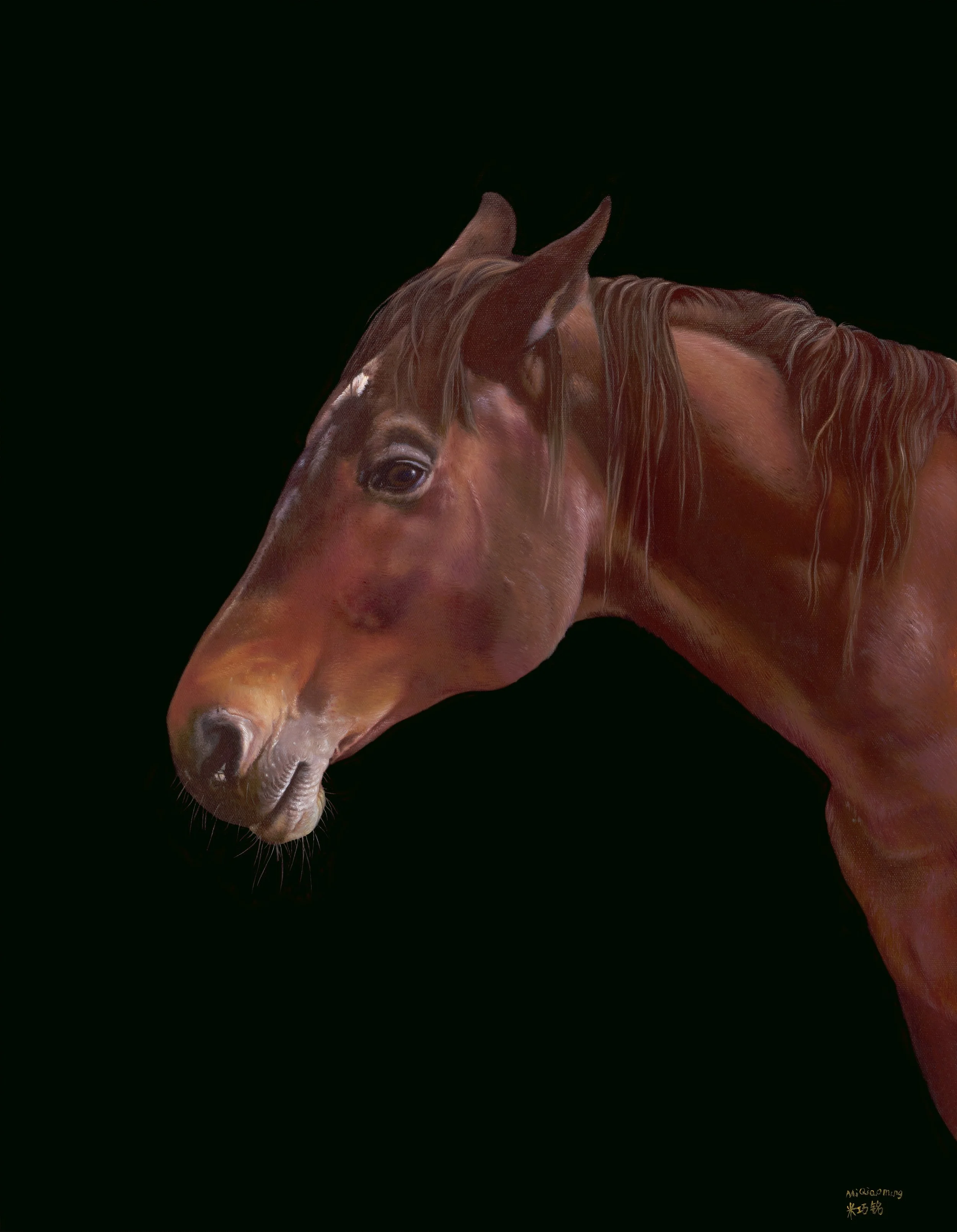 马系列：山子 56x75cm 布面版画.jpg