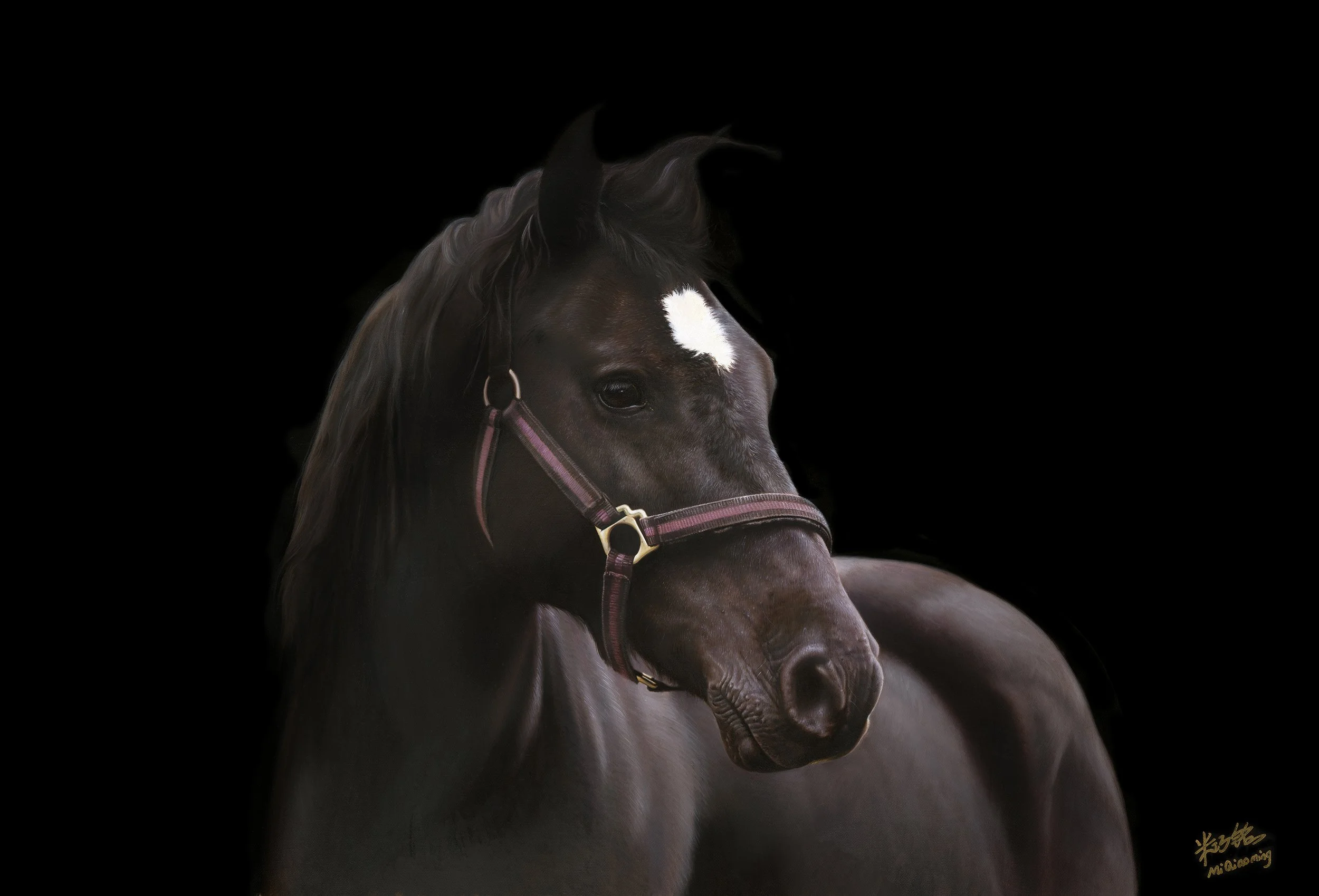 马系列：紫骍 50x34cm 布面版画.jpg