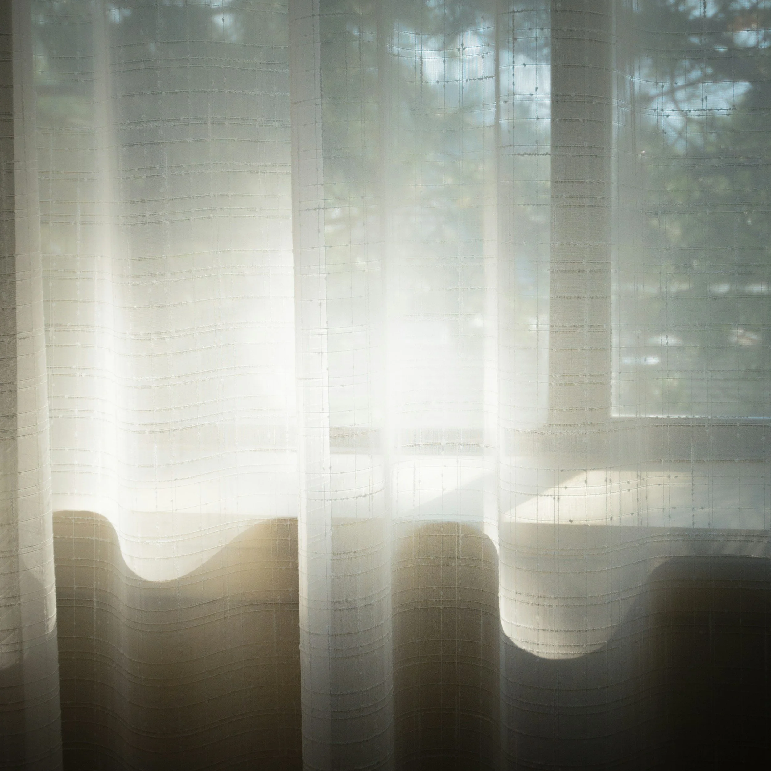Sunlight streaming through sheer white curtains in front of windows.