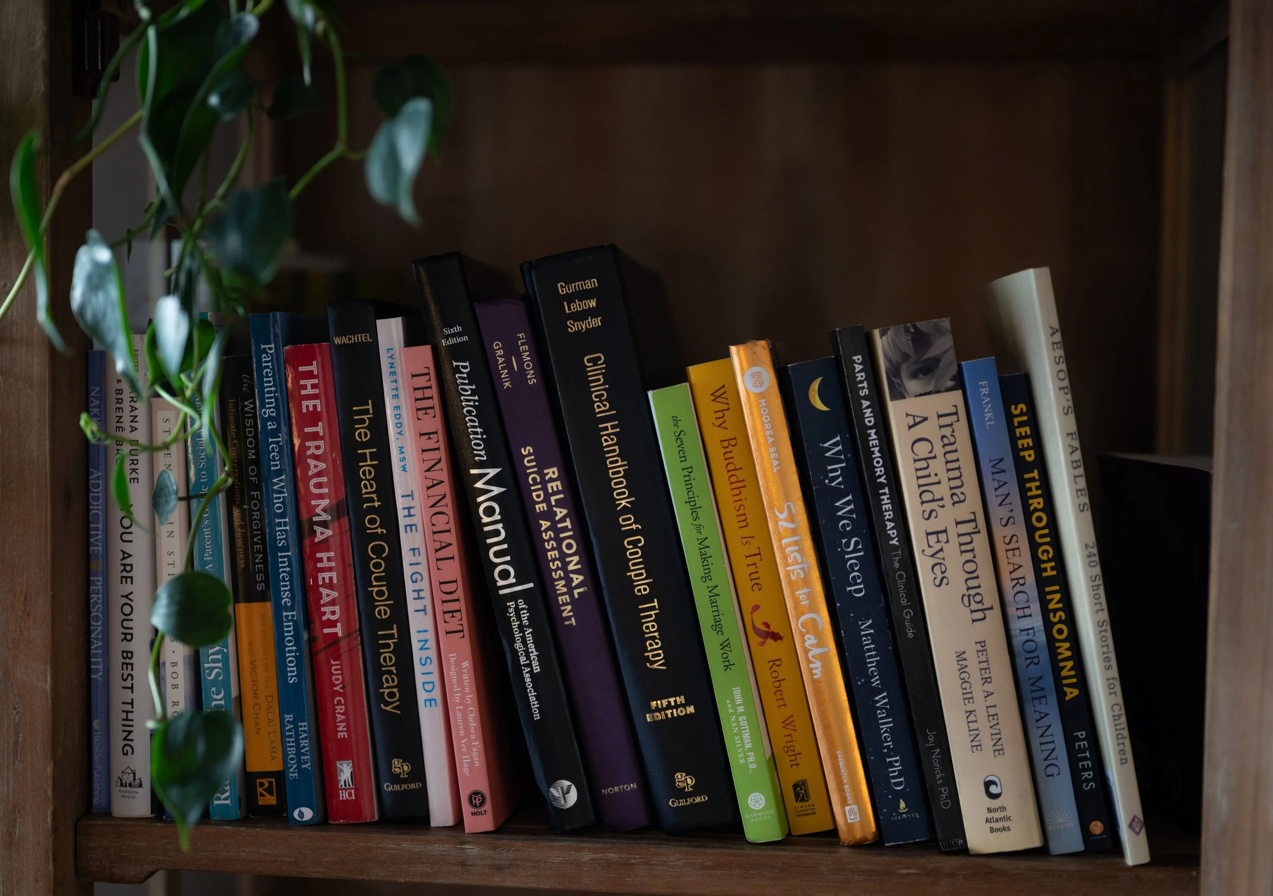 Four Therapist Favorites Worth Checking Out
