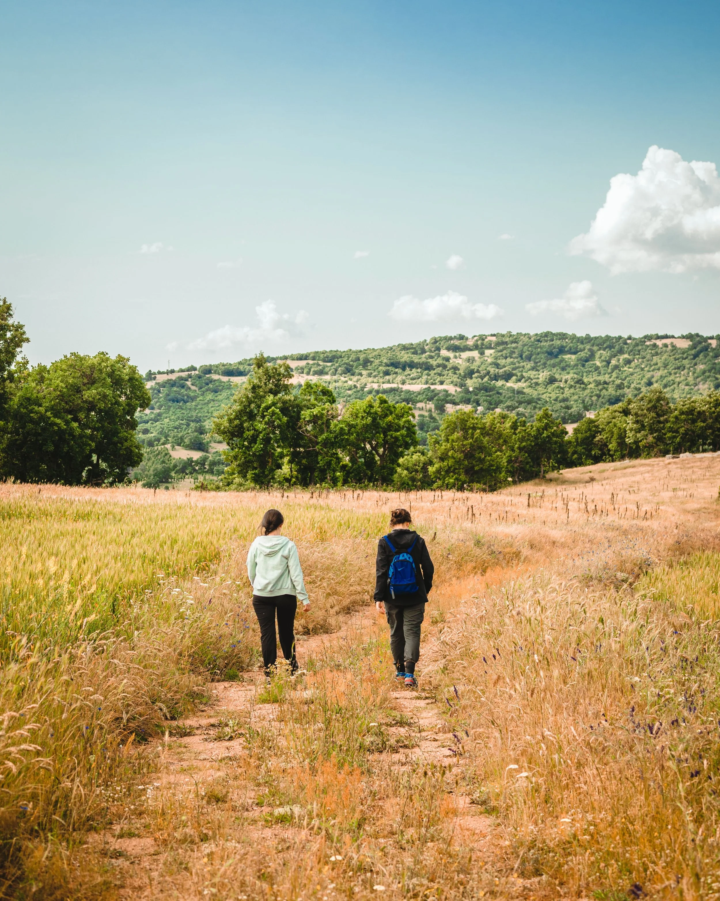 Two people engaged in walk and talk therapy, walking along a dirt trail through a grassy field with trees and hills in the background under a partly cloudy sky.