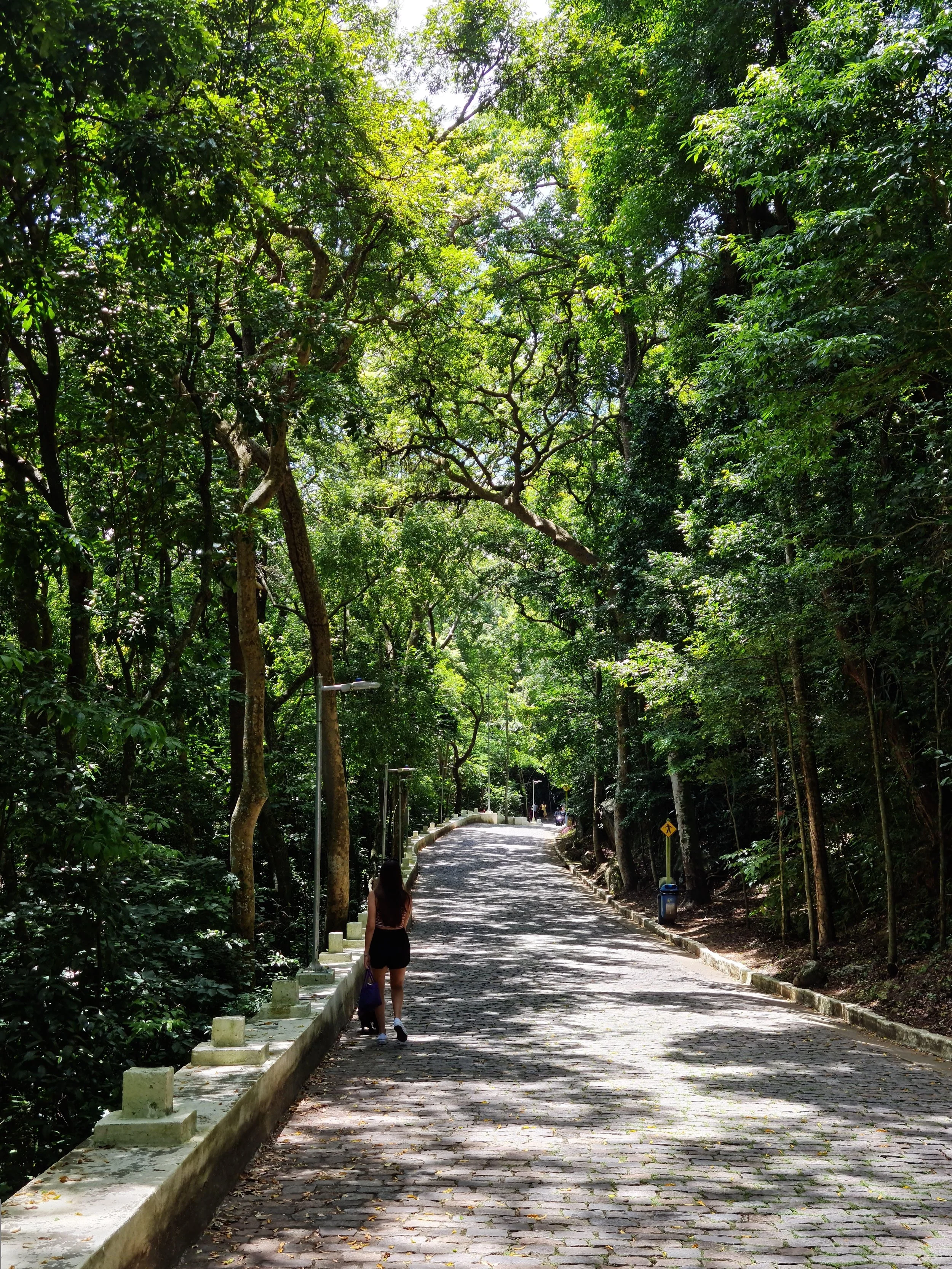 walking path
