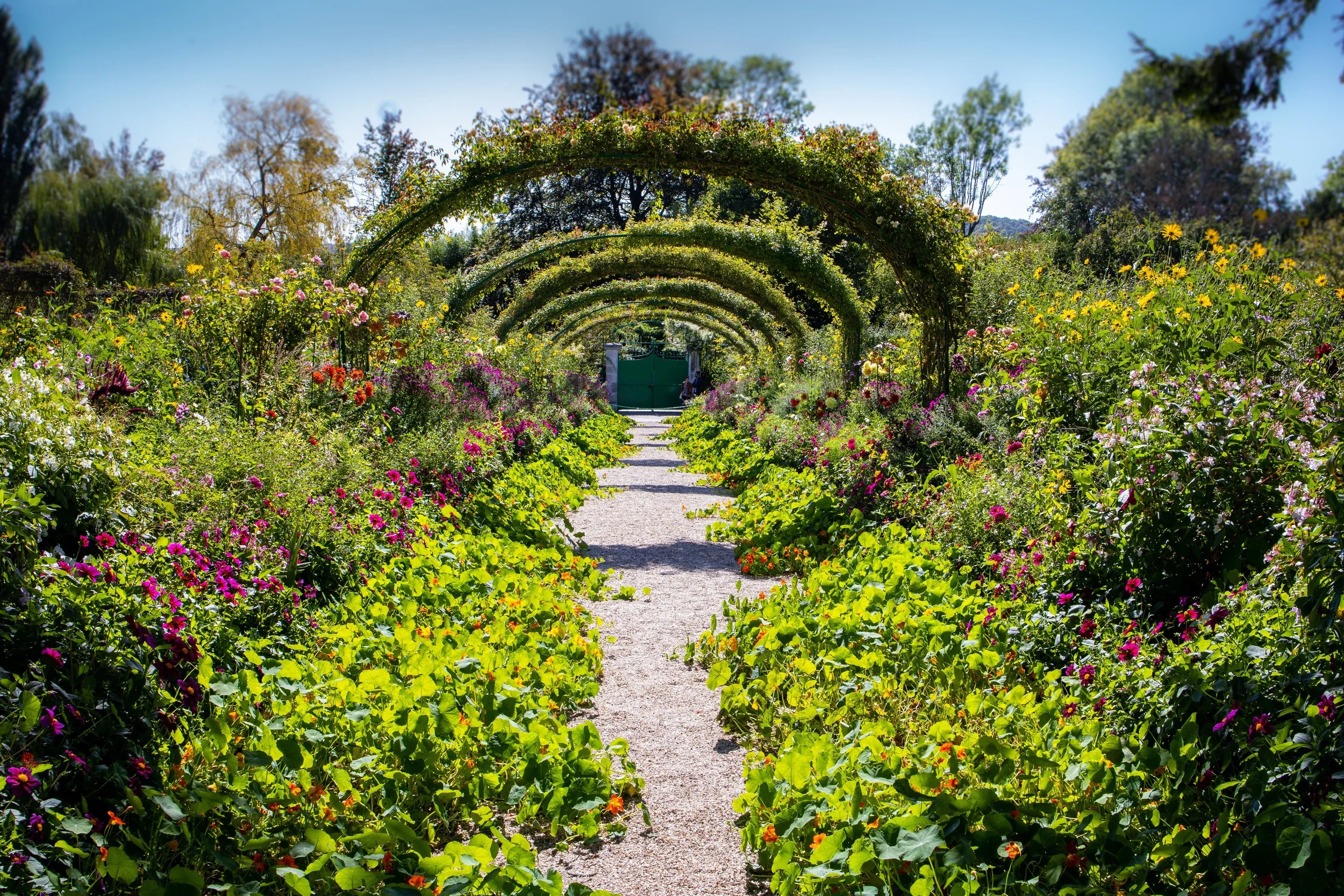 path through a garden with arches