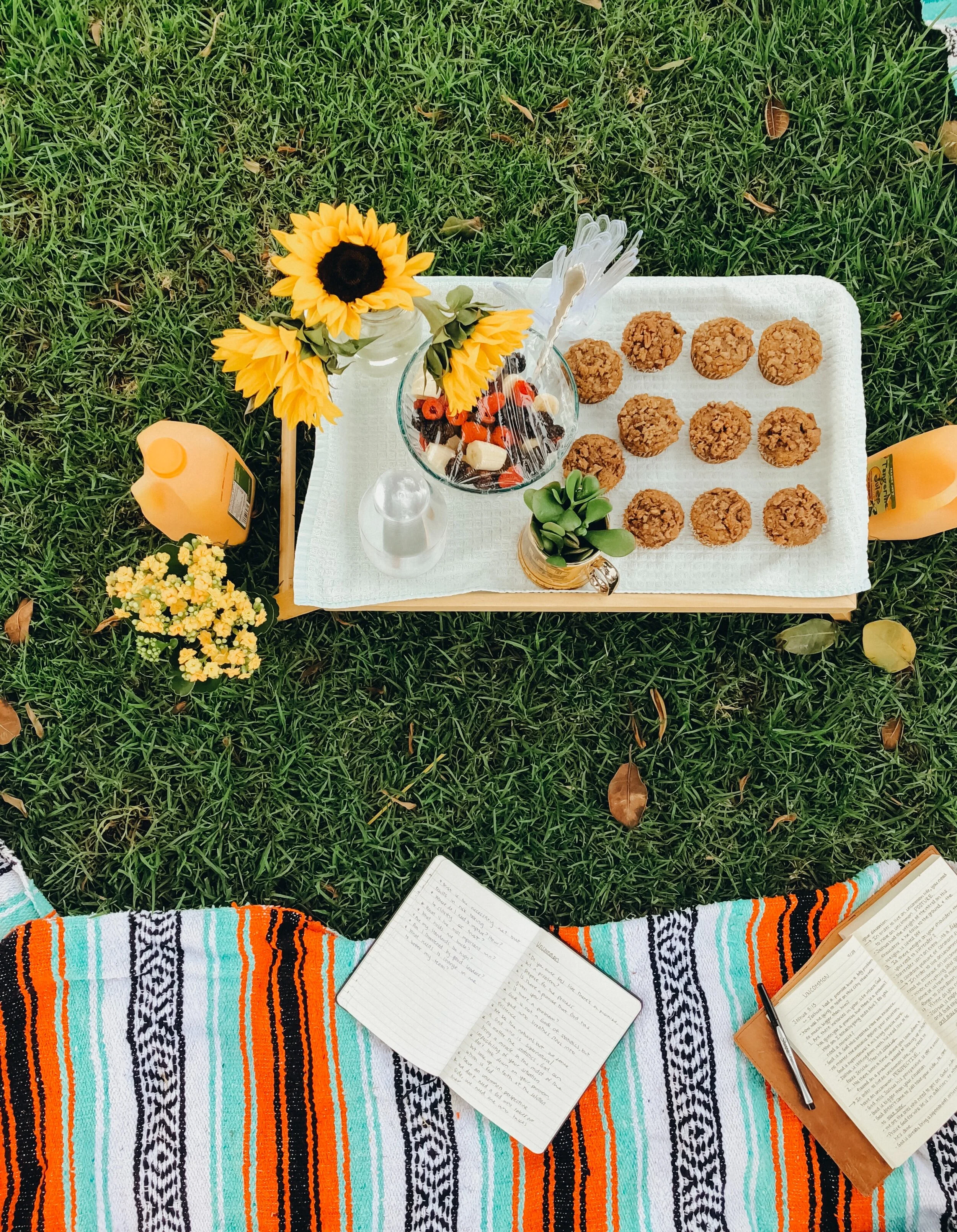 A picnic setup on the grass with a striped blanket, a notebook, a book, a tray with cookies, a flower arrangement, a small potted plant, and bottles of juice.