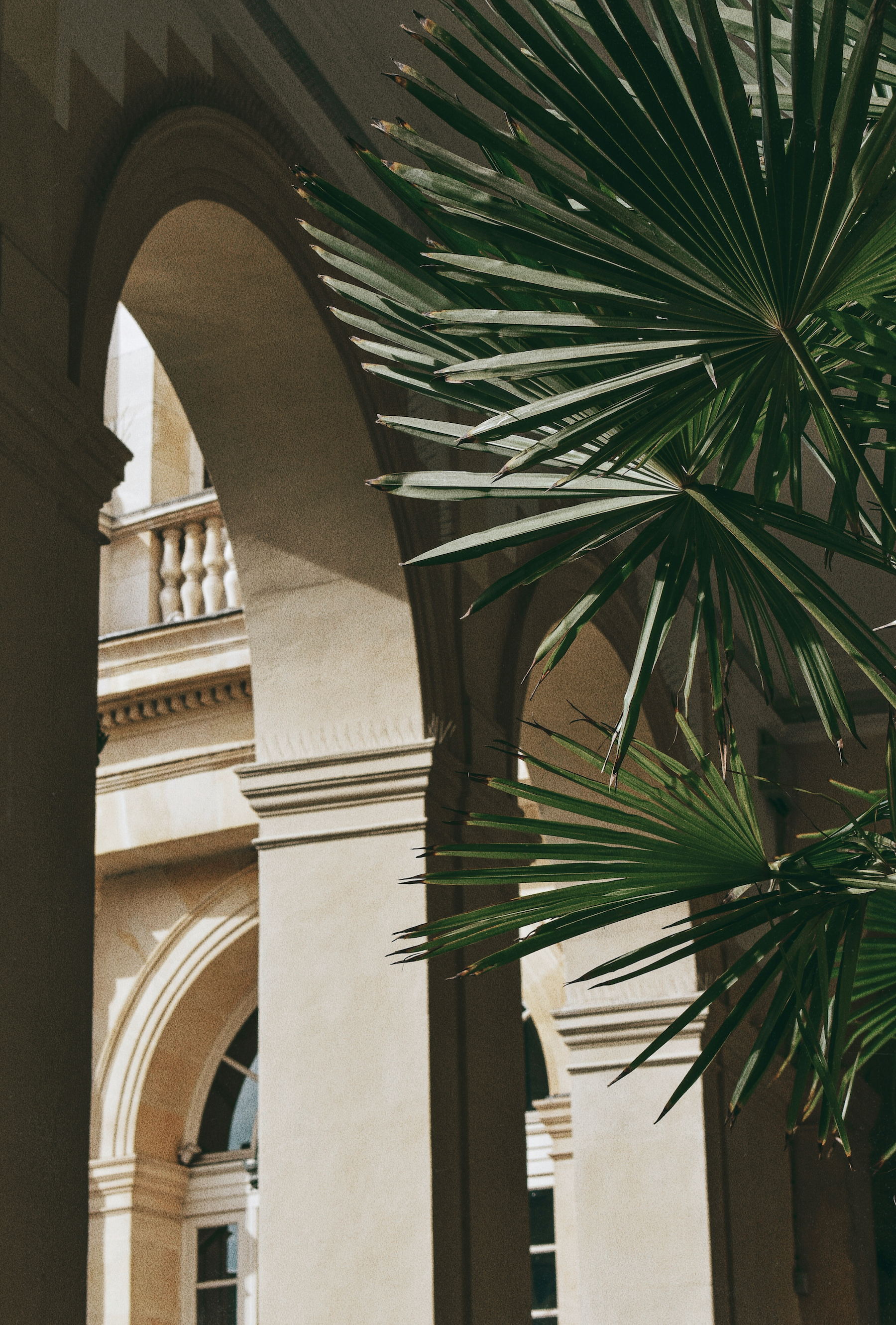 A large green palm leaf partially obscures the view of a classical building with stone columns and arches.
