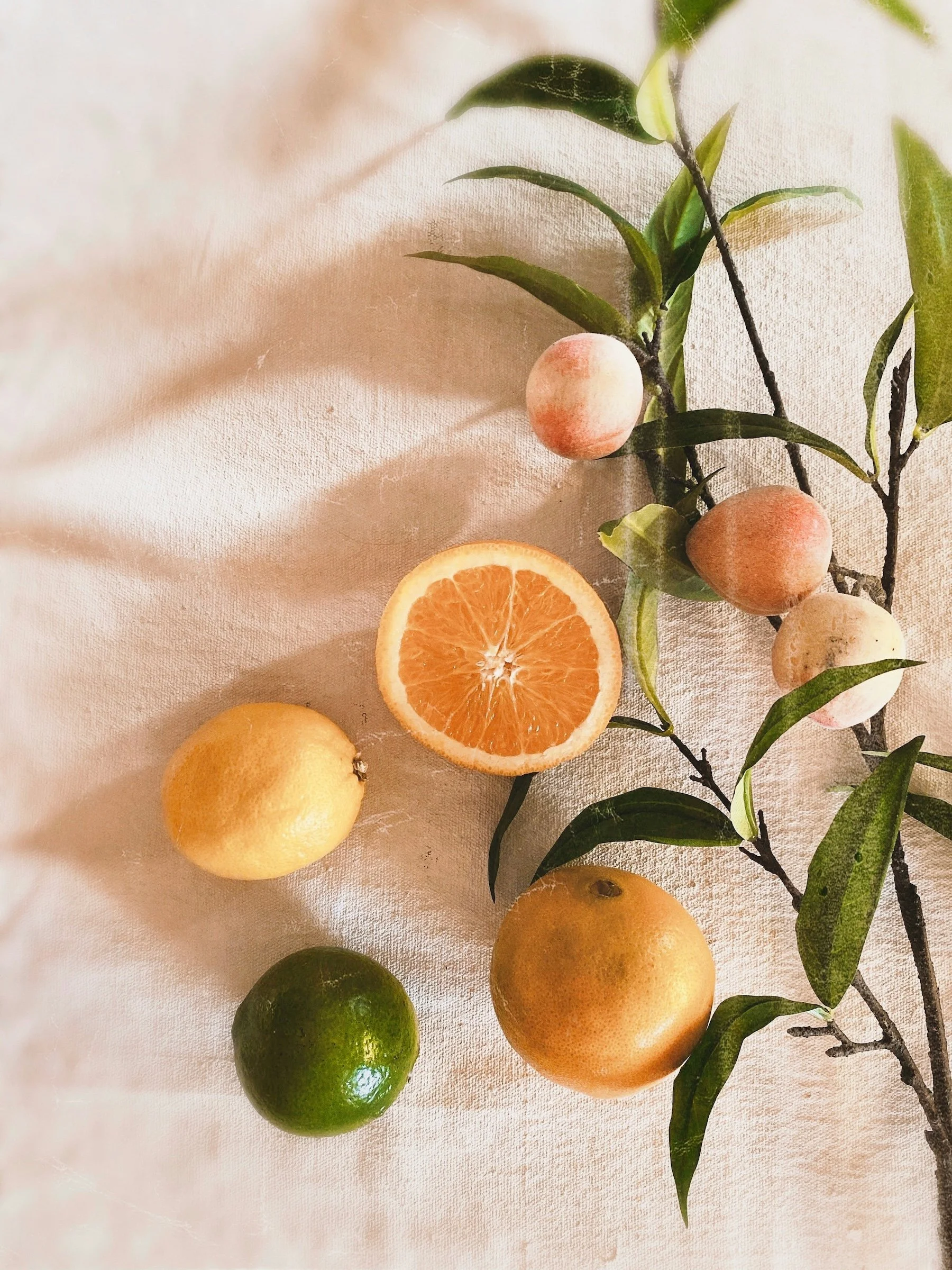 Various citrus fruits, including a halved orange, whole lemon, lime, and grapefruits, with green leaves and branches on a light fabric background.