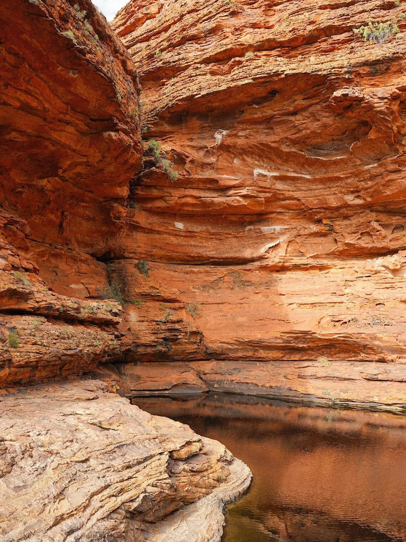 One of the many red rock scenes that live rent free in my mind each and everyday. Time in these environments are such a huge driving force behind my creative process. 

Along side the work I&rsquo;ve been creating, I&rsquo;ll be sharing some of the o