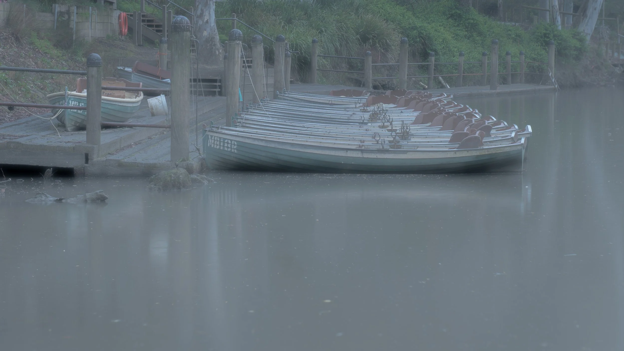 Punts on the Yarra (1 of 1).jpg