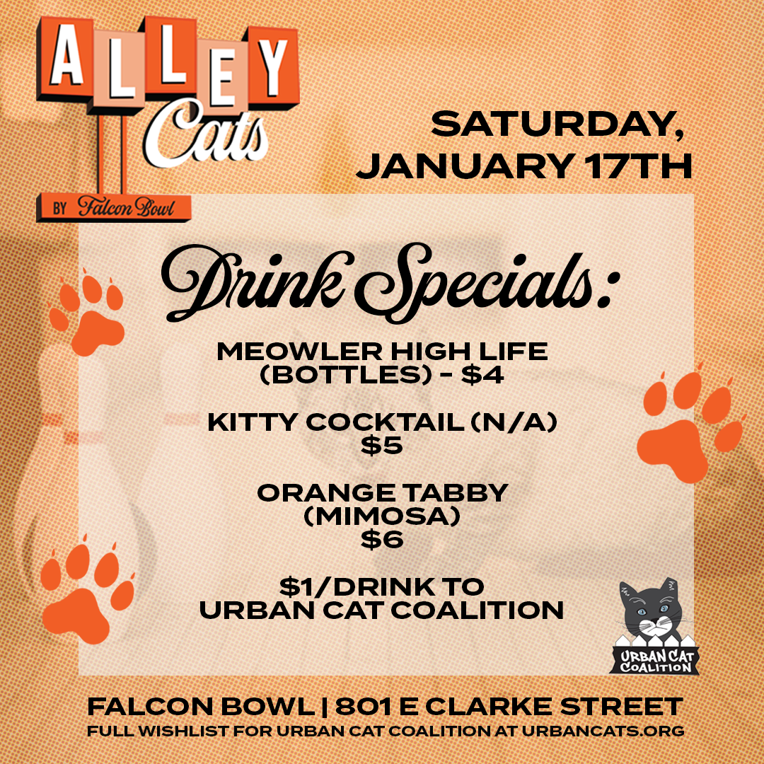 Alley-Cats-DETAILSDRINKS-SQUARE.png