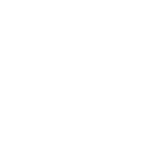 holy-pinto.webp