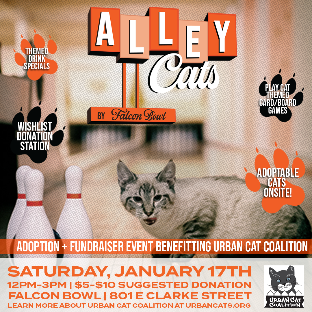 01.17.26-ALLEY-CATS-SQUARE-FULL-DETAILSSQUARE.png