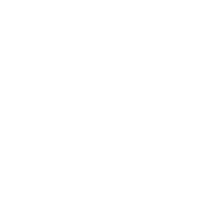 MICKEY-SUNSHINE-LOGO-TRANSPARENT-BACKGROUND.webp